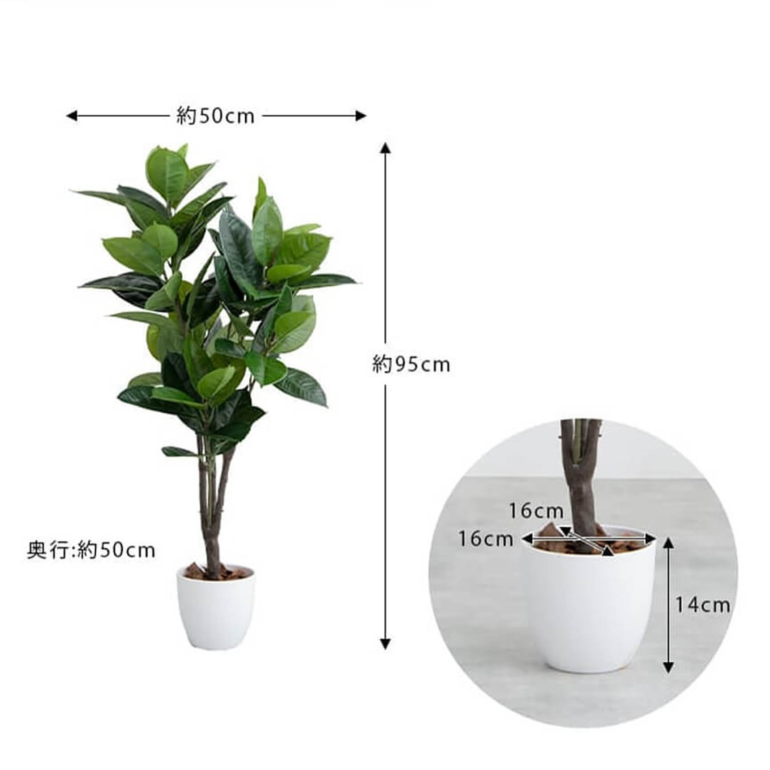 観葉植物