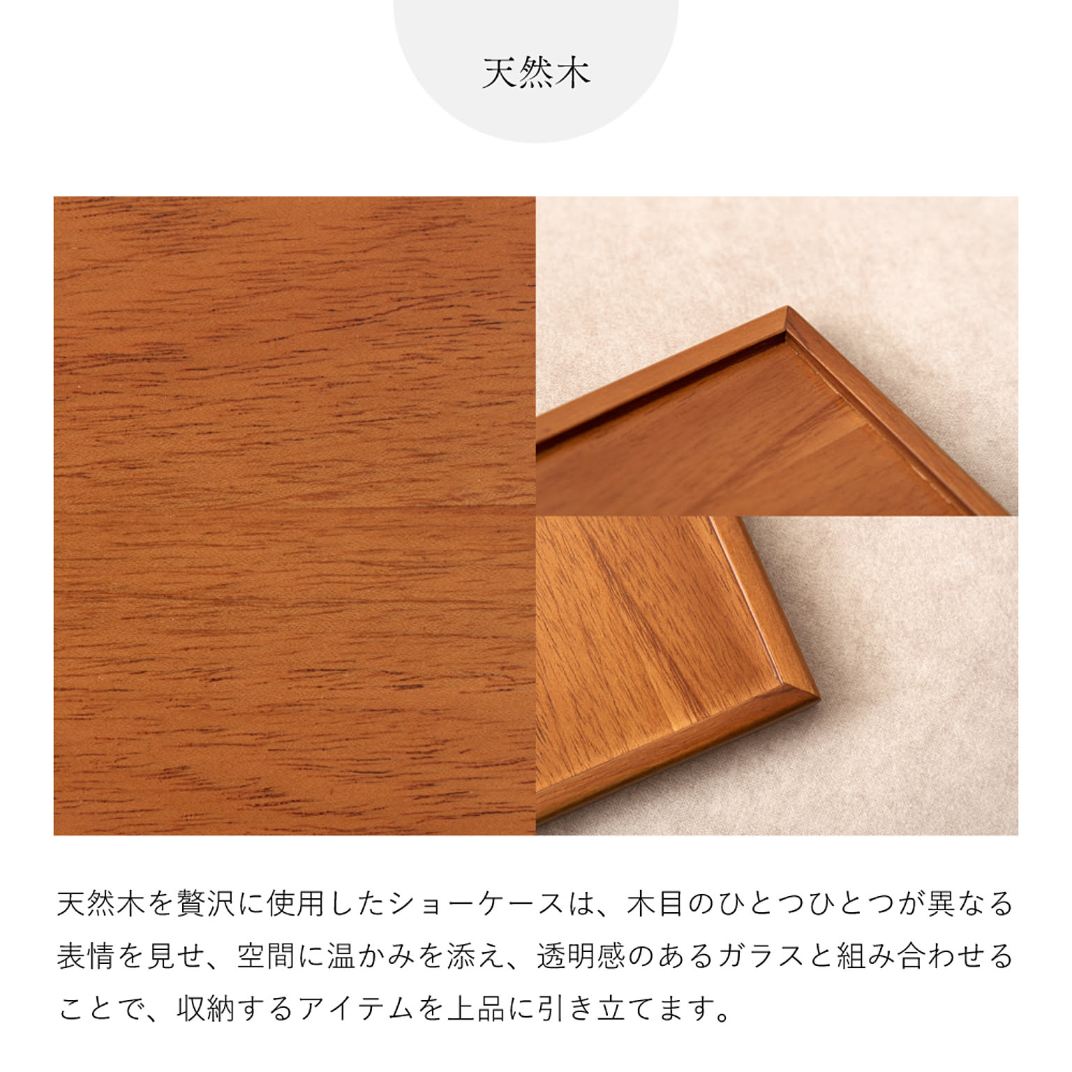 コレクションケース