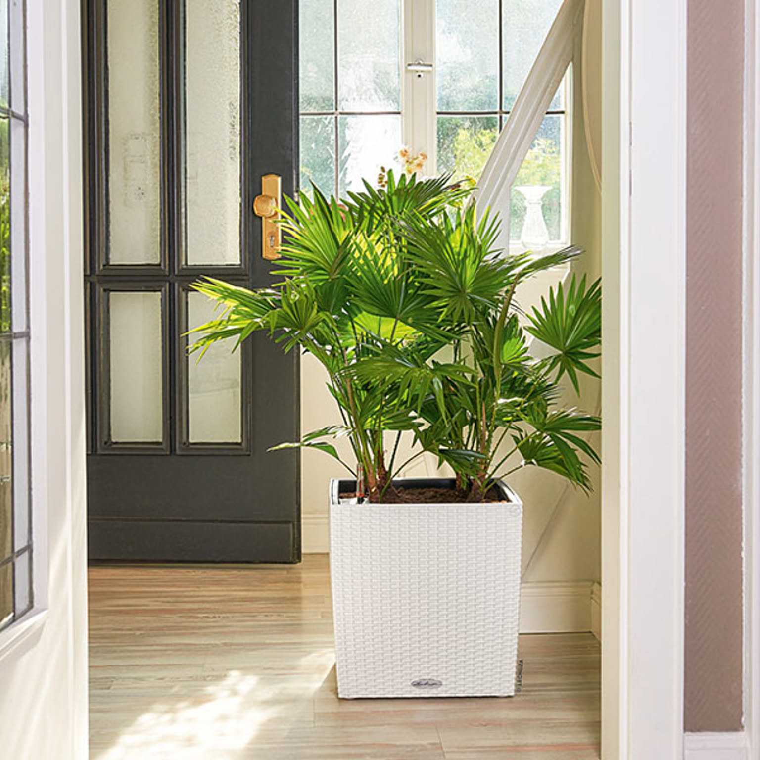 プランター・植木鉢