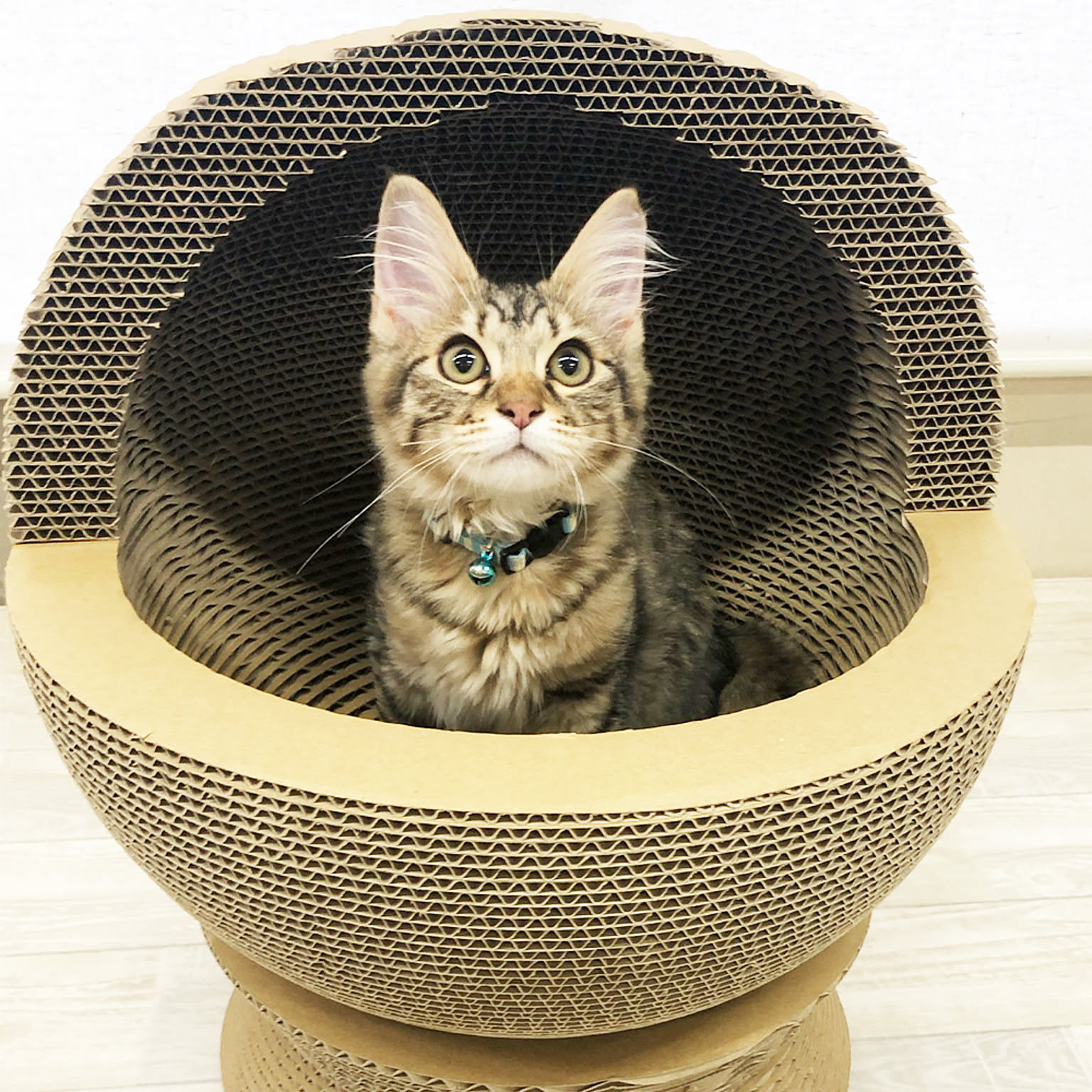 猫用インテリア・猫用家具