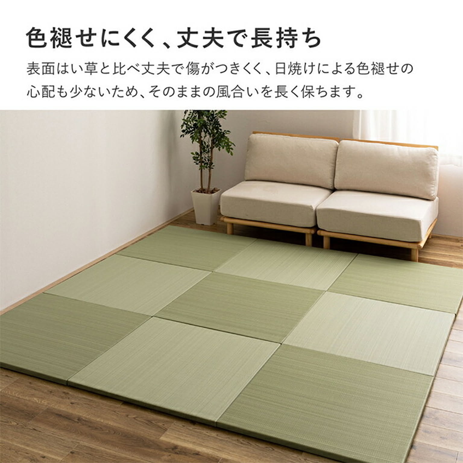 ござ・い草ラグ
