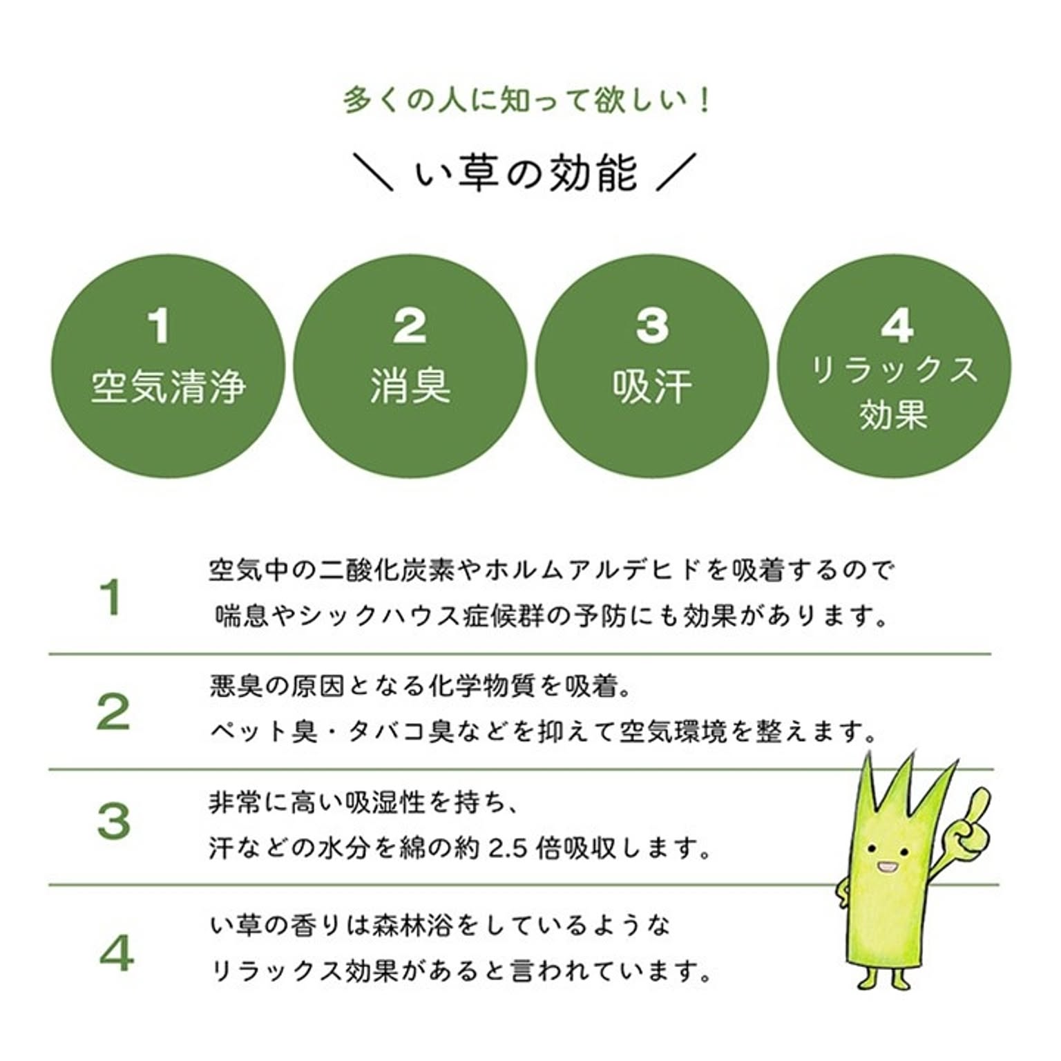 ござ・い草ラグ
