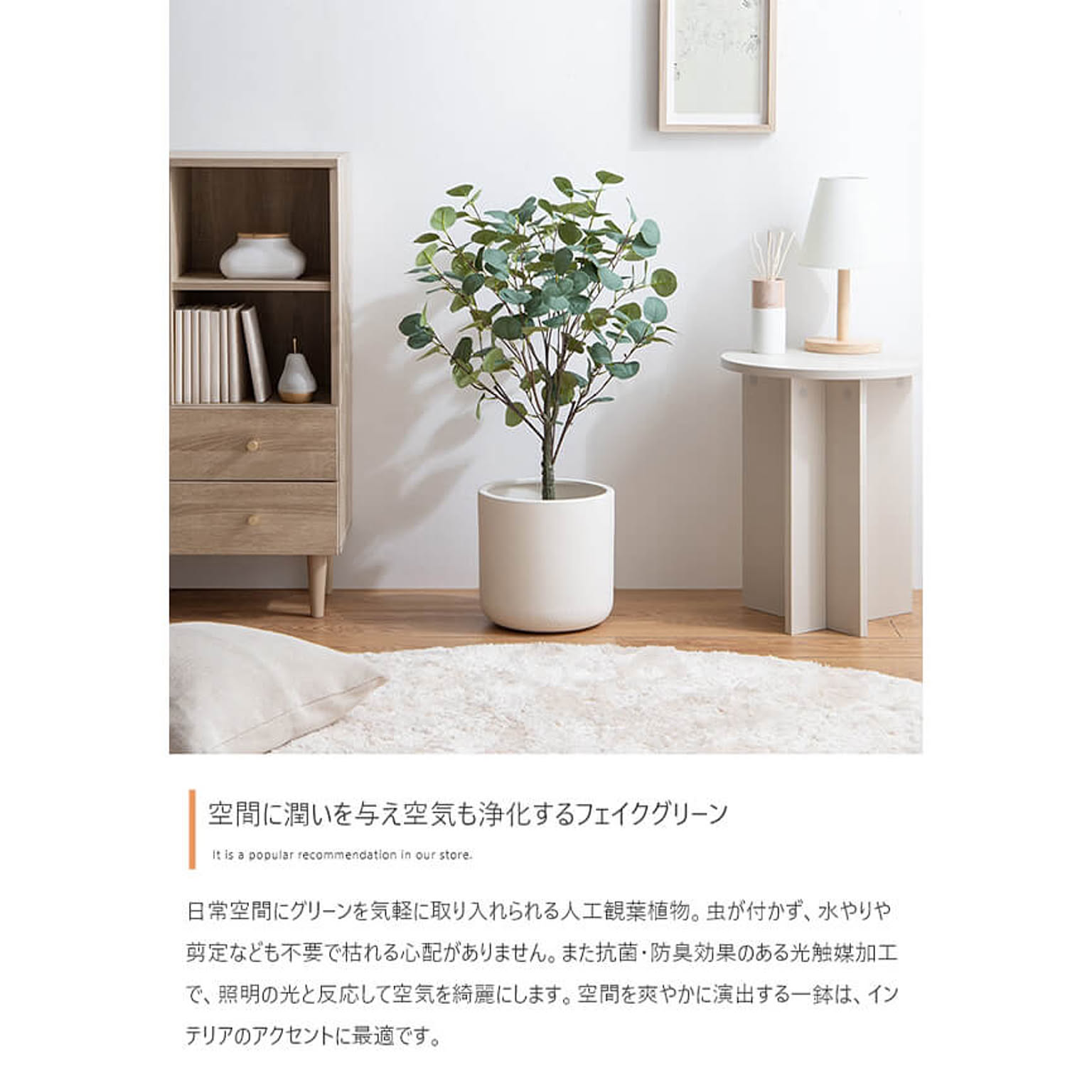 観葉植物