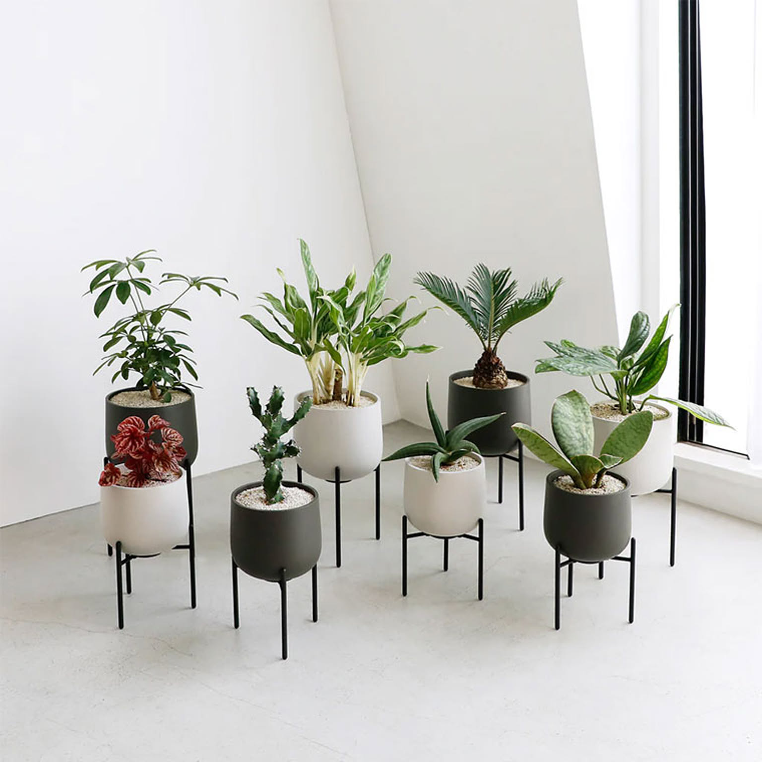 プランター・植木鉢