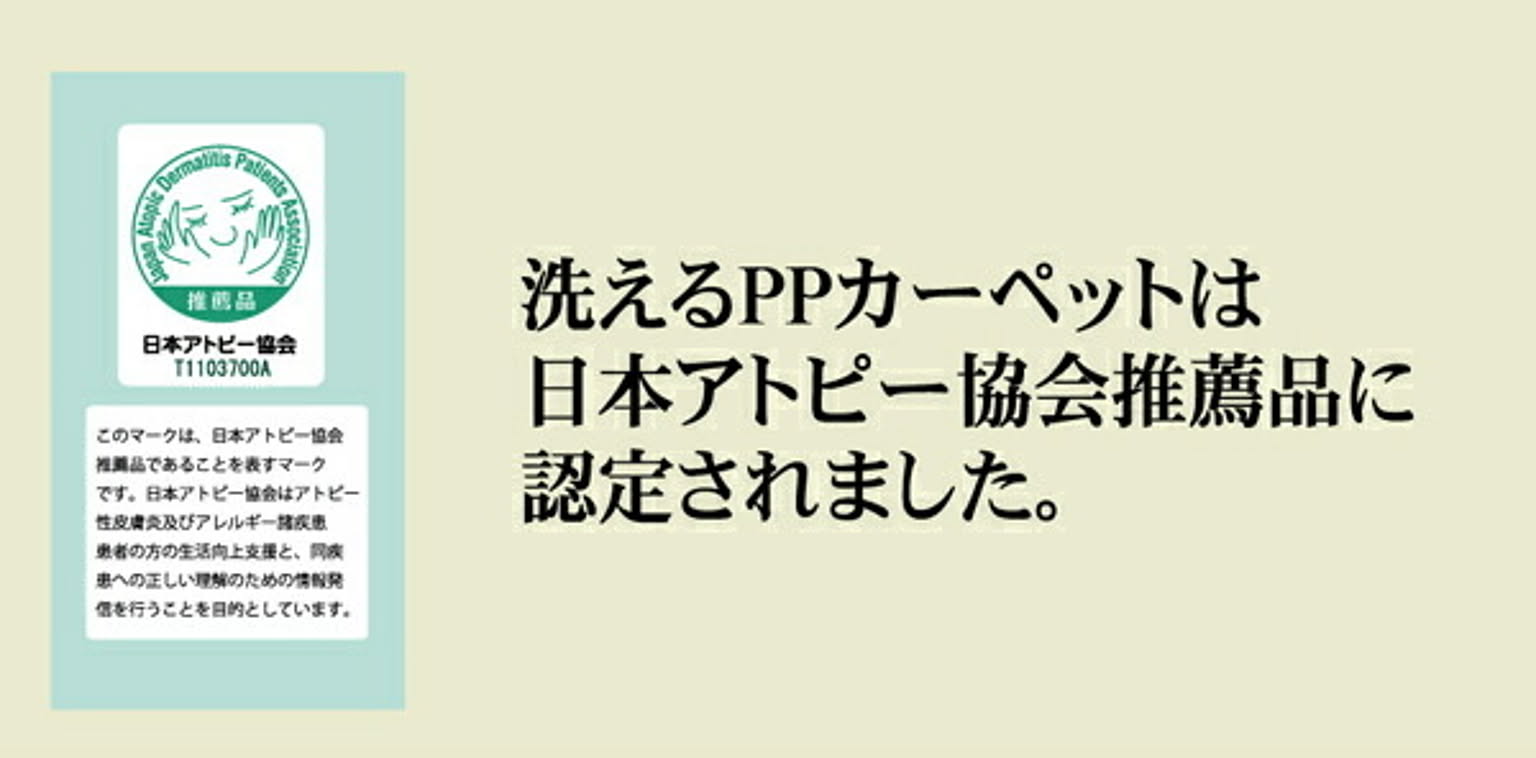 ござ・い草ラグ