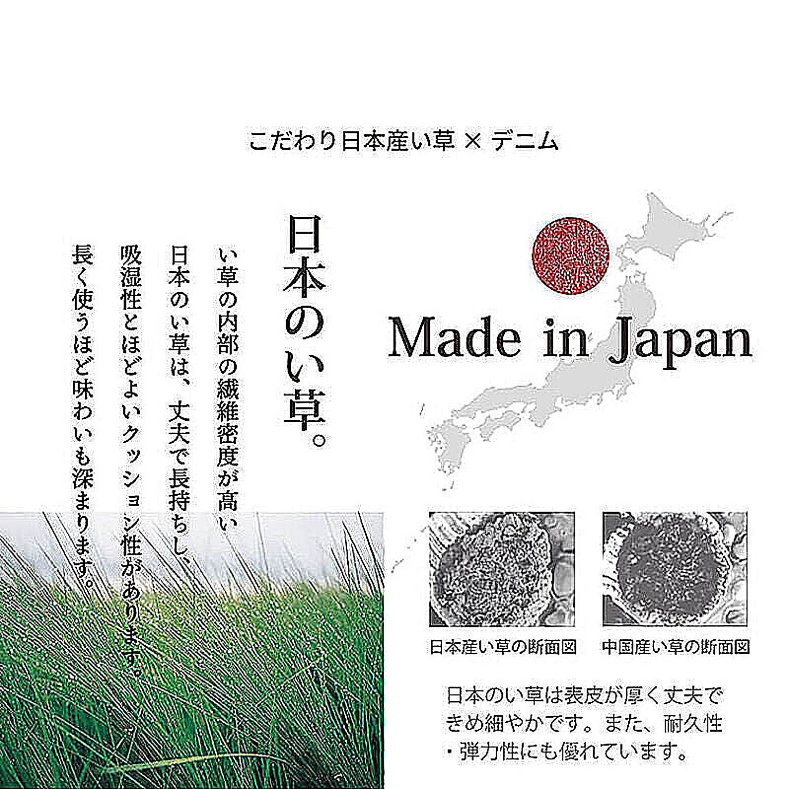 ござ・い草ラグ