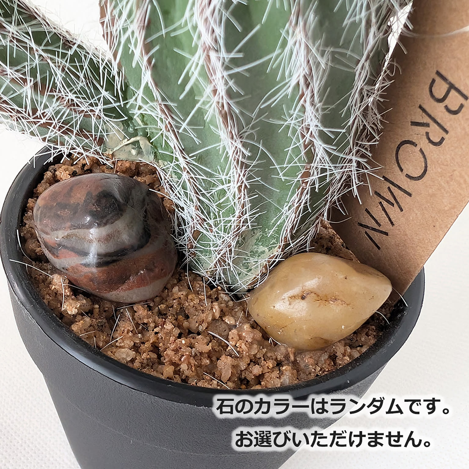フェイクグリーン