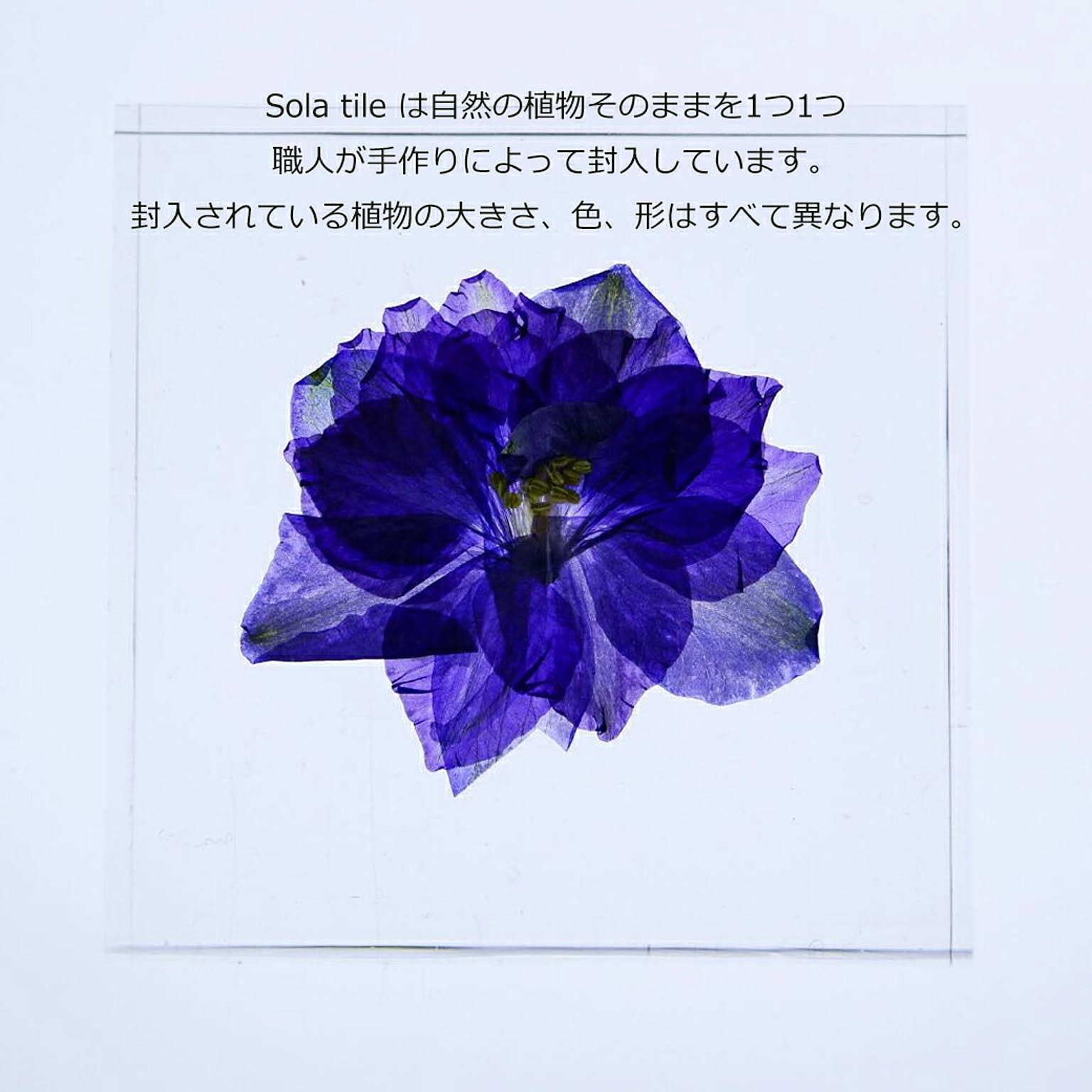 置物・オブジェ