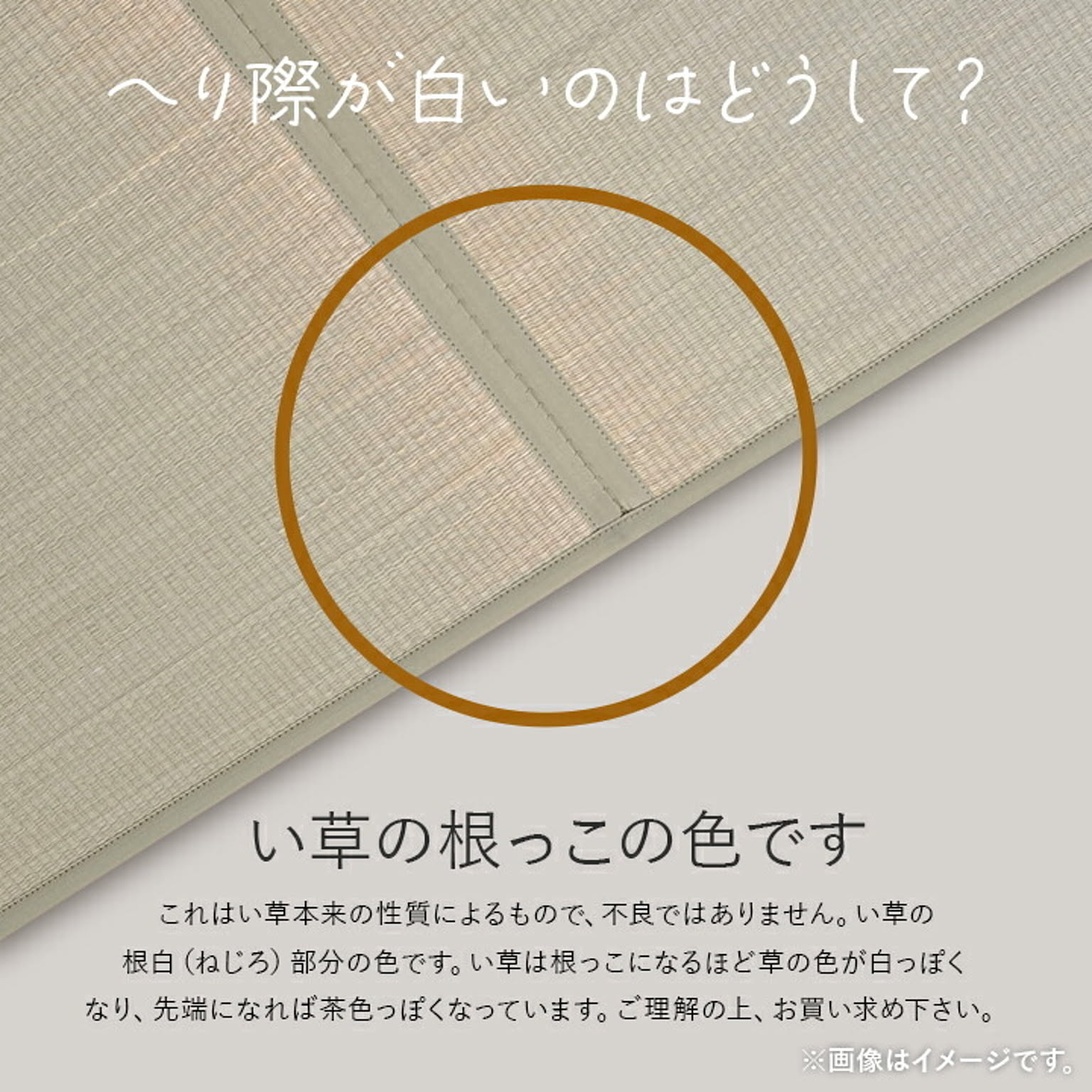 ござ・い草ラグ