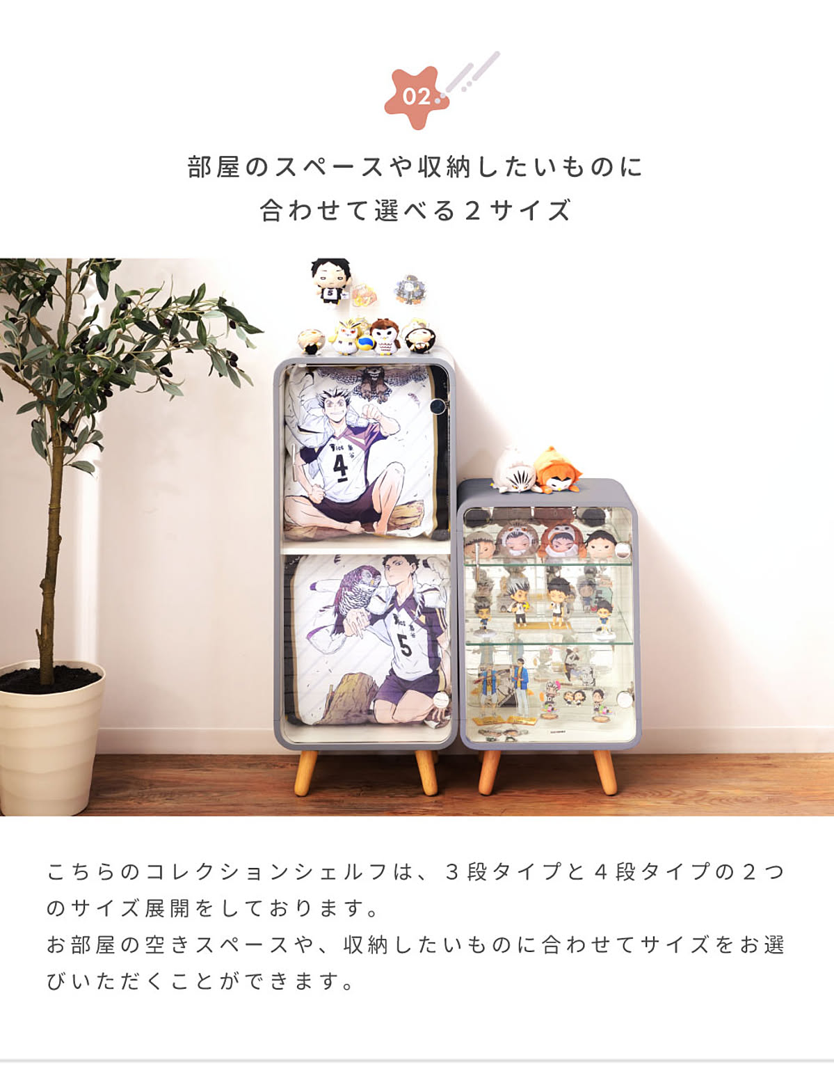 コレクションケース