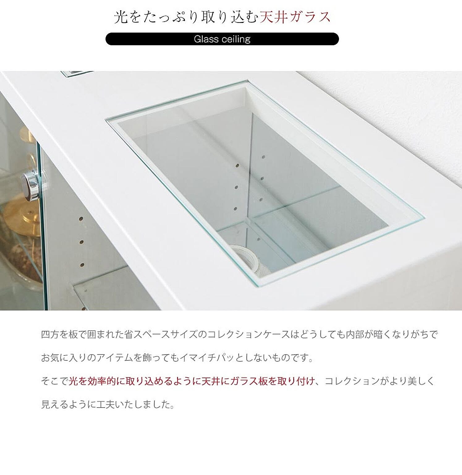 コレクションケース