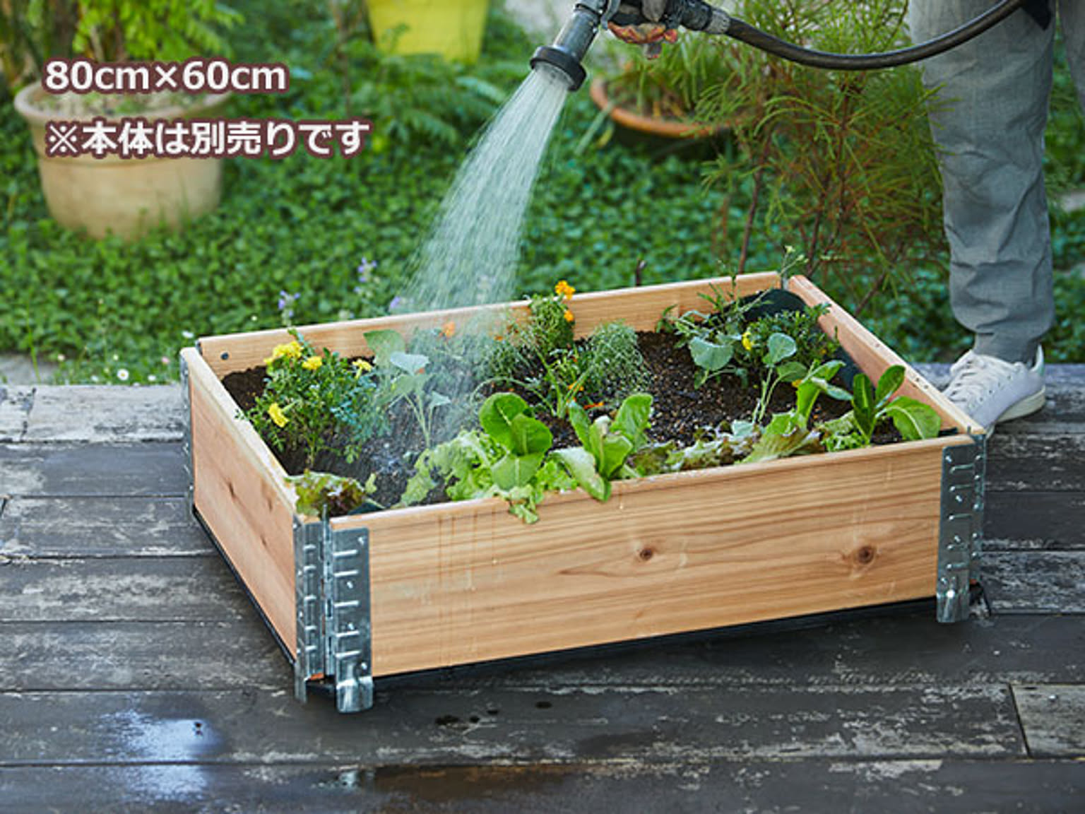 プランター・植木鉢