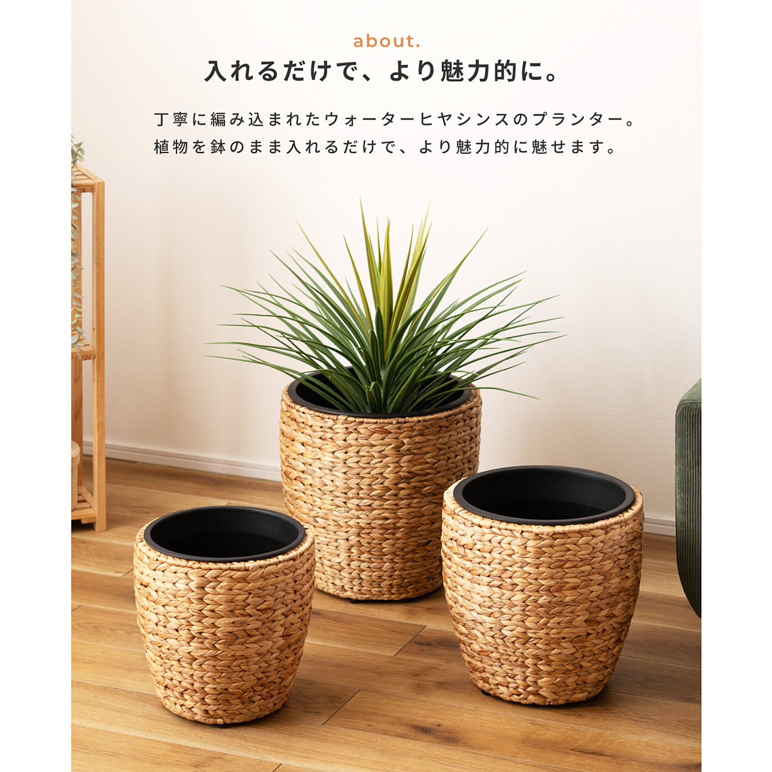 プランター・植木鉢