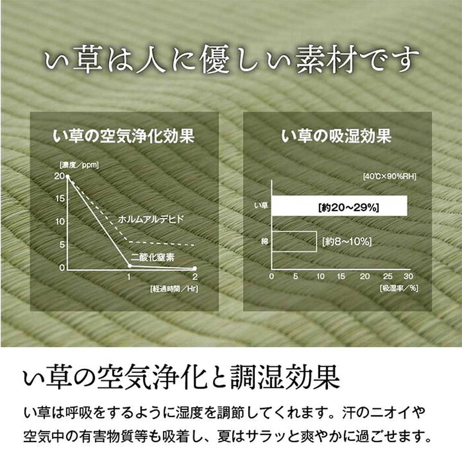 ござ・い草ラグ