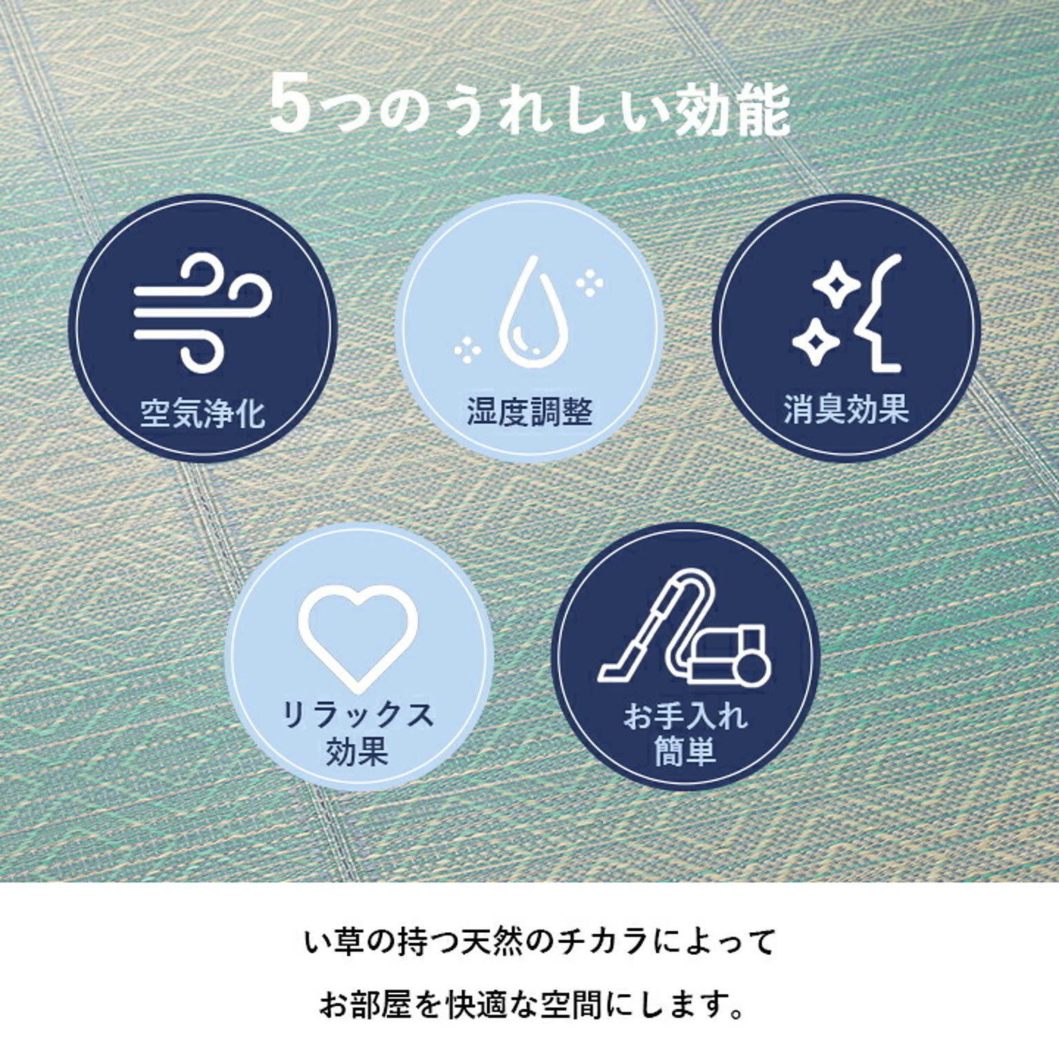 ござ・い草ラグ