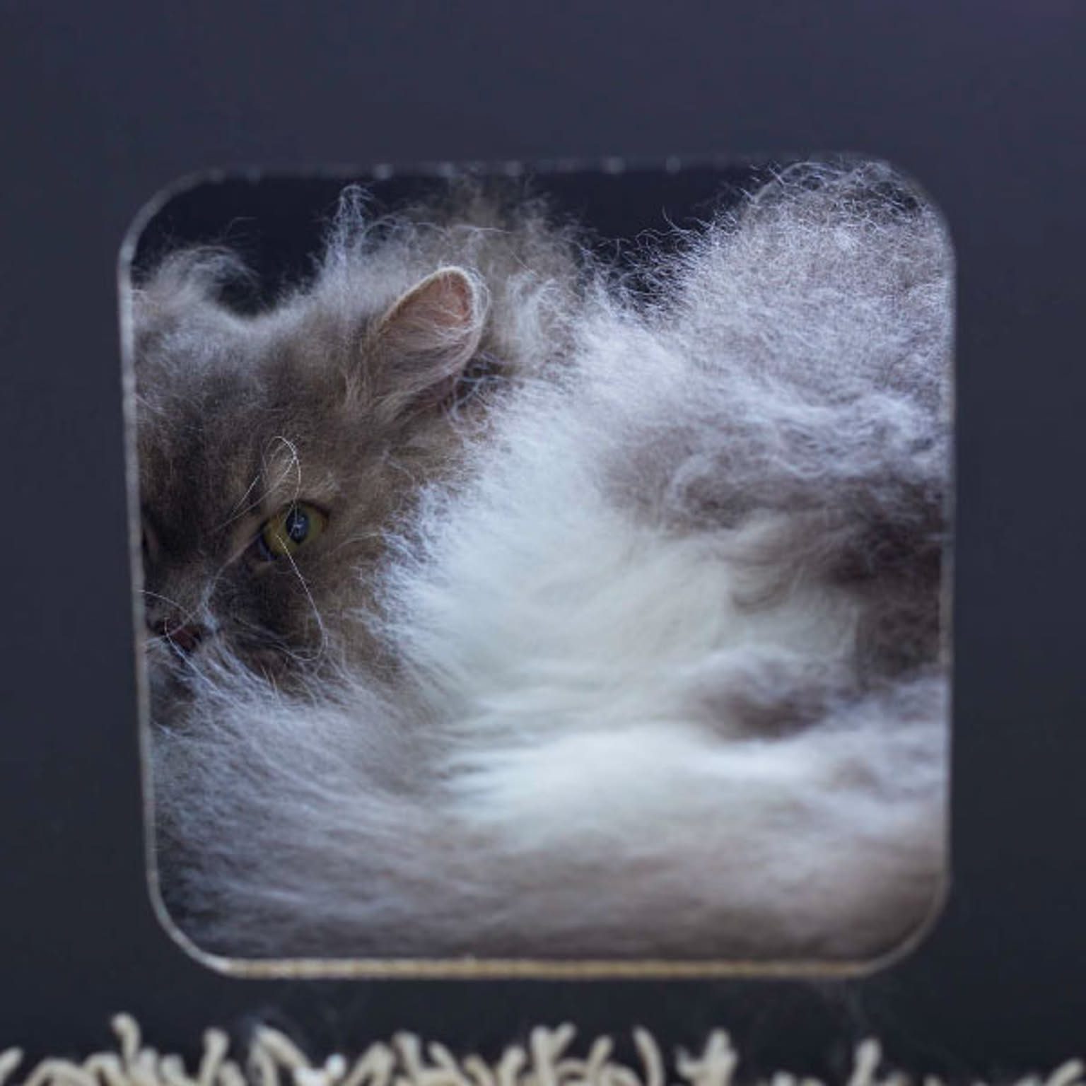 猫用インテリア・猫用家具