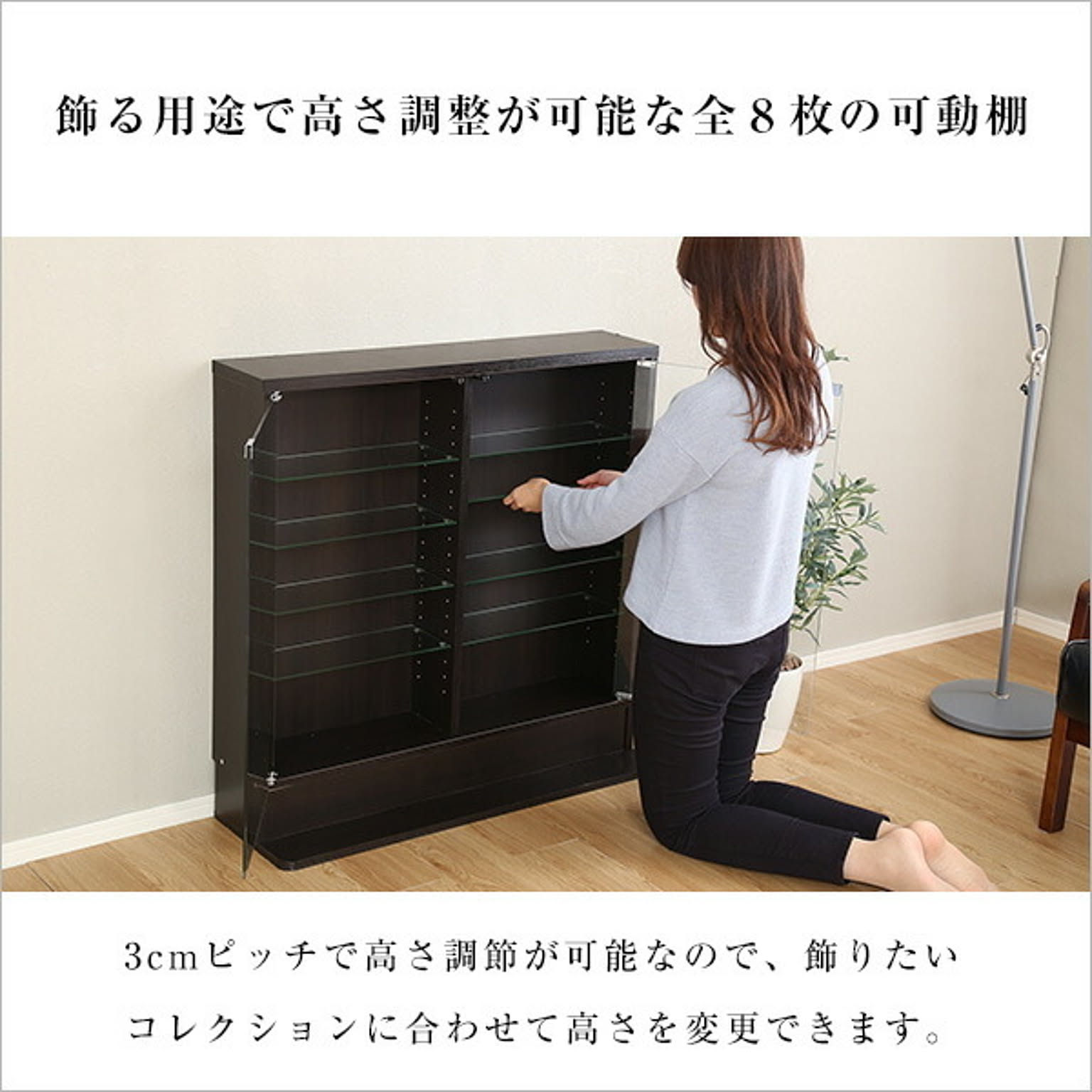 コレクションケース