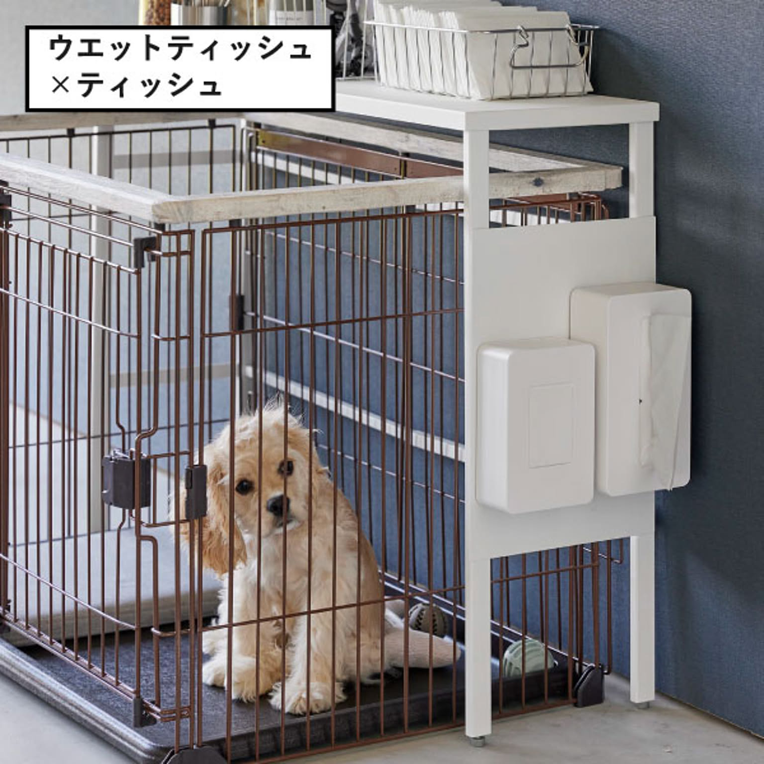 犬用インテリア・犬用家具