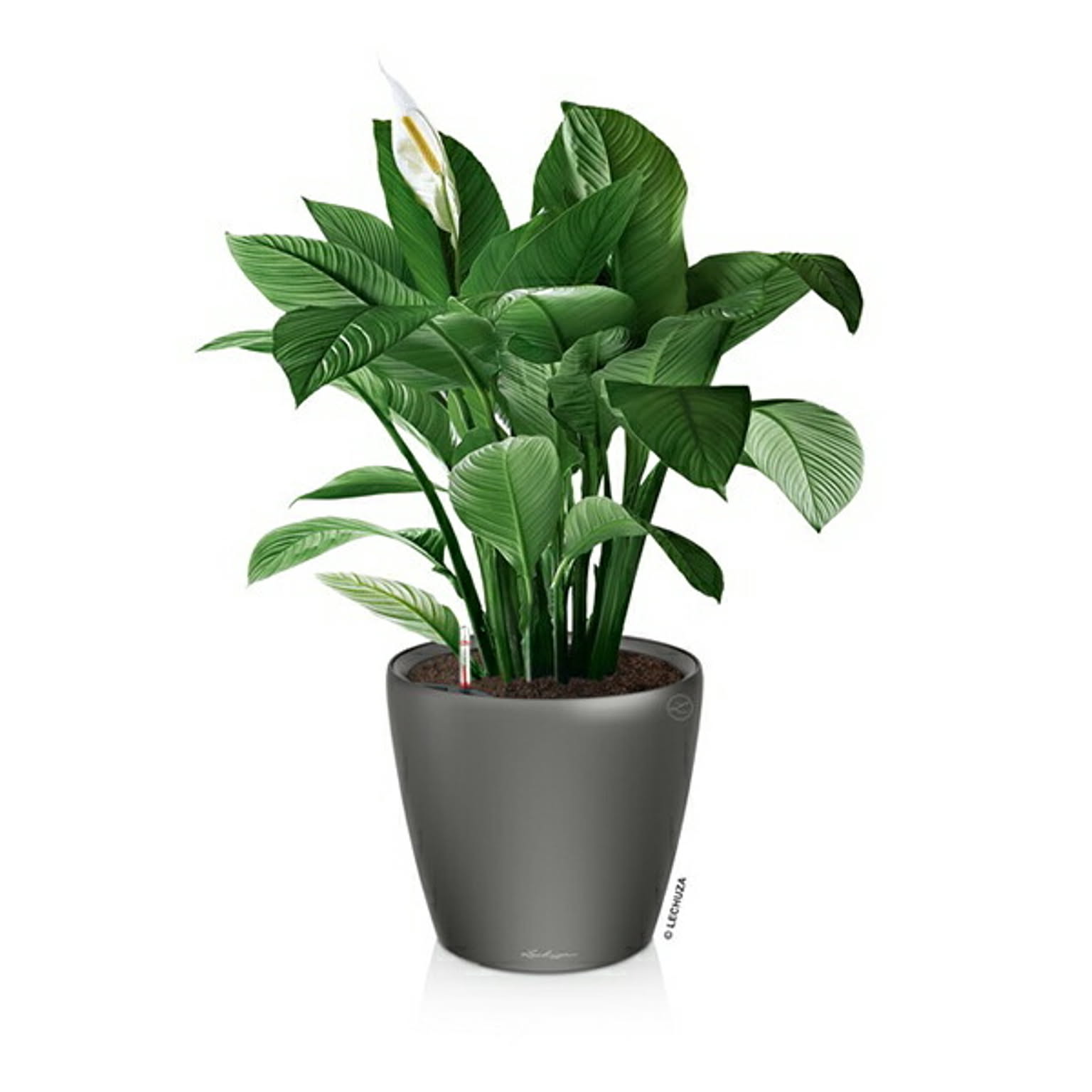 プランター・植木鉢