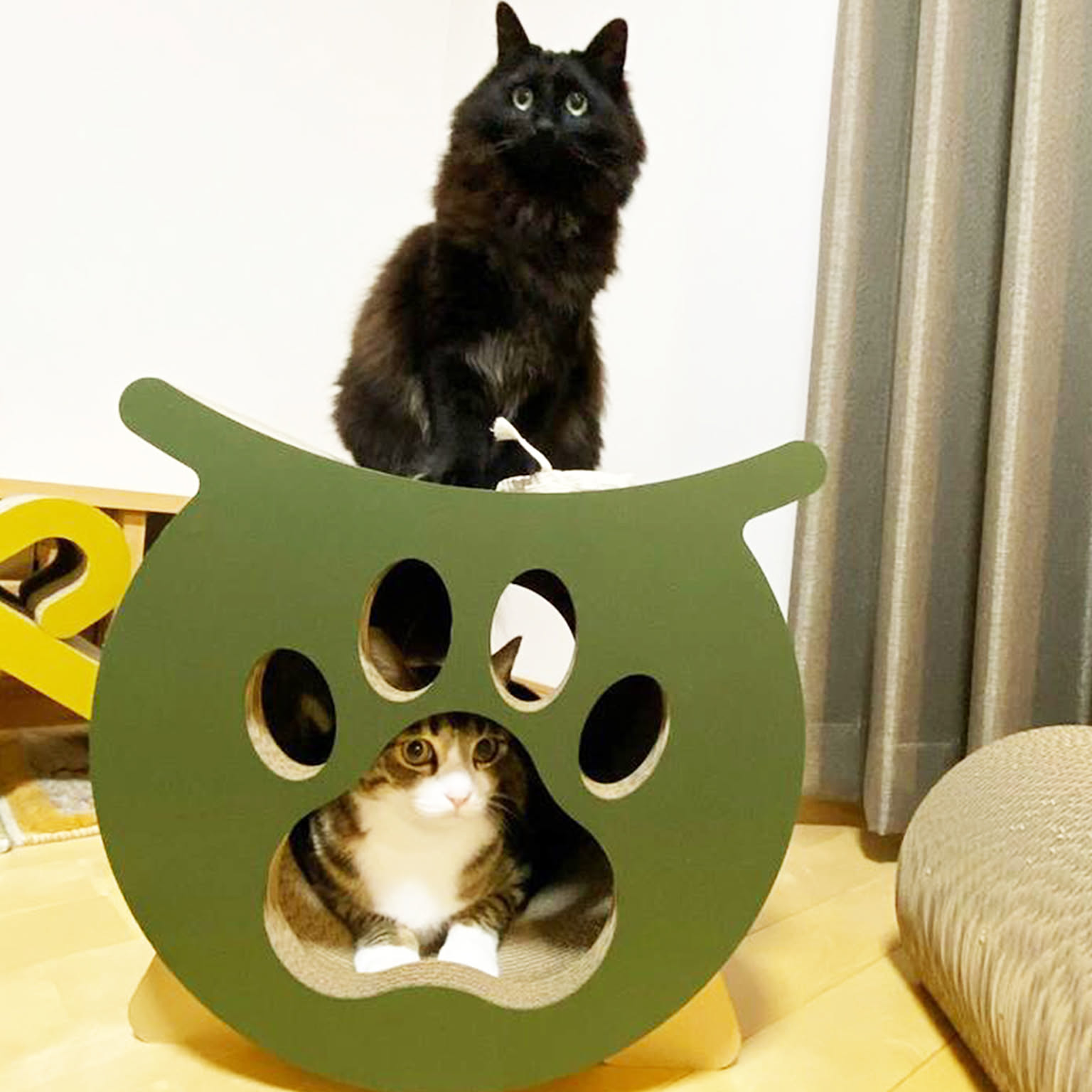 猫用インテリア・猫用家具