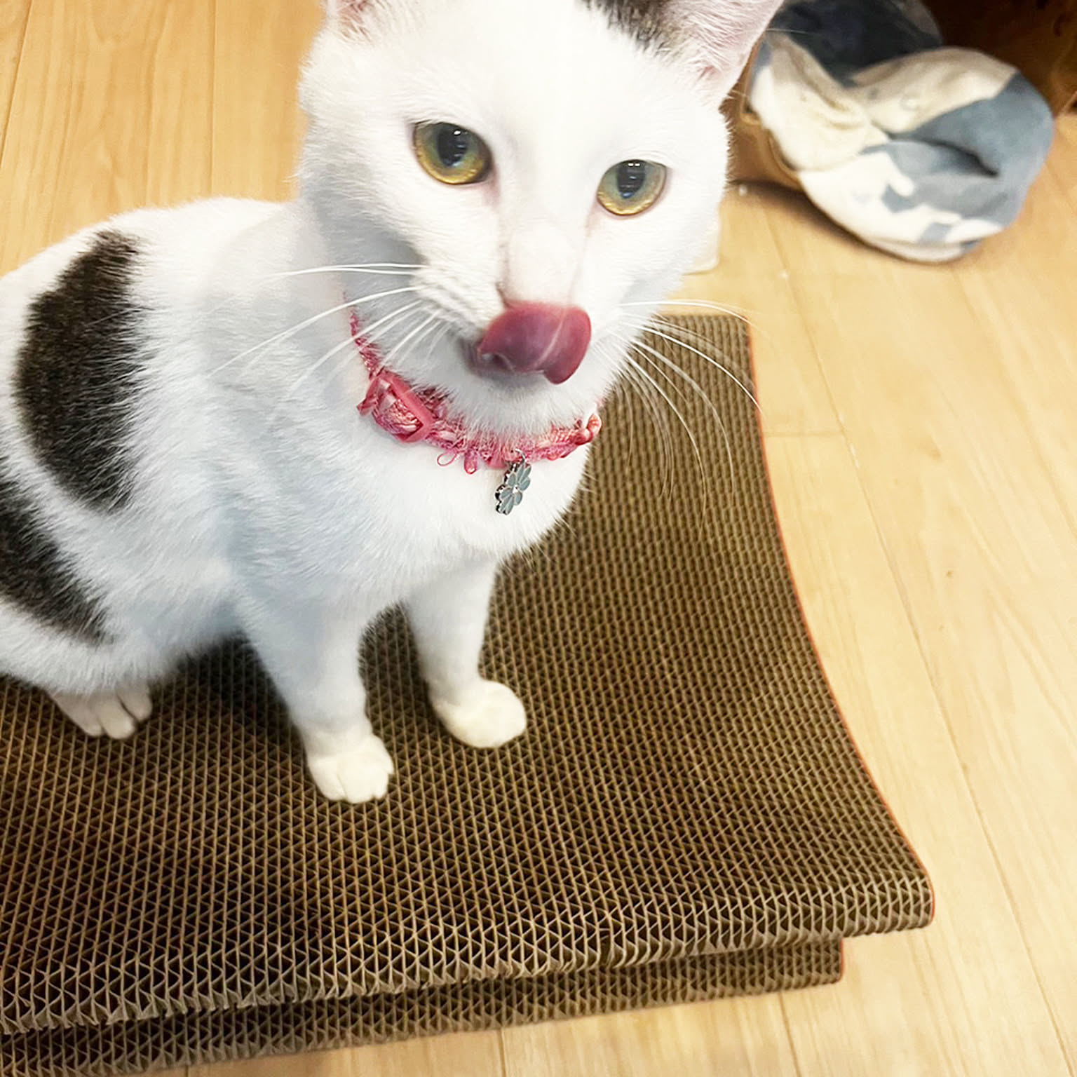猫用インテリア・猫用家具