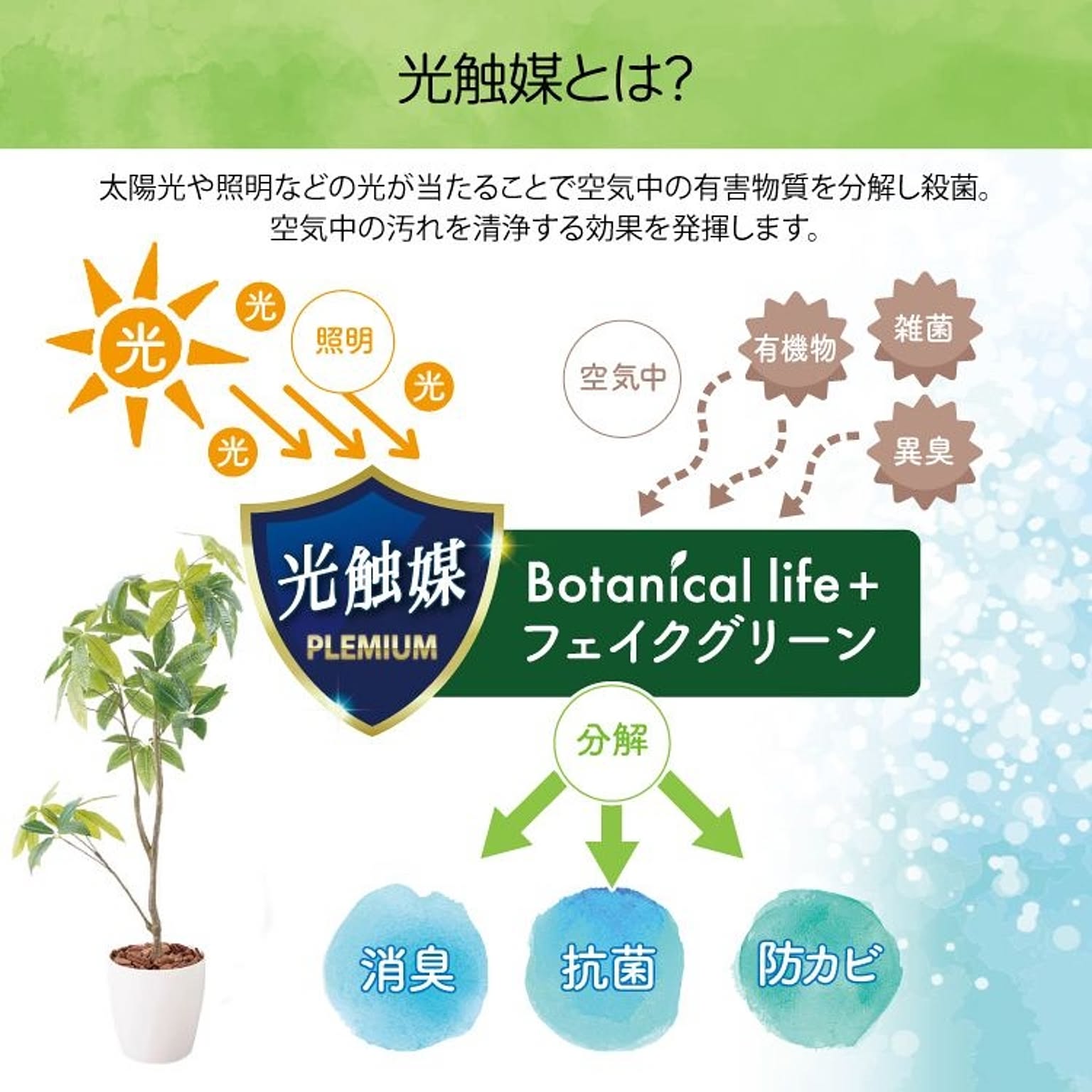 フェイクグリーン