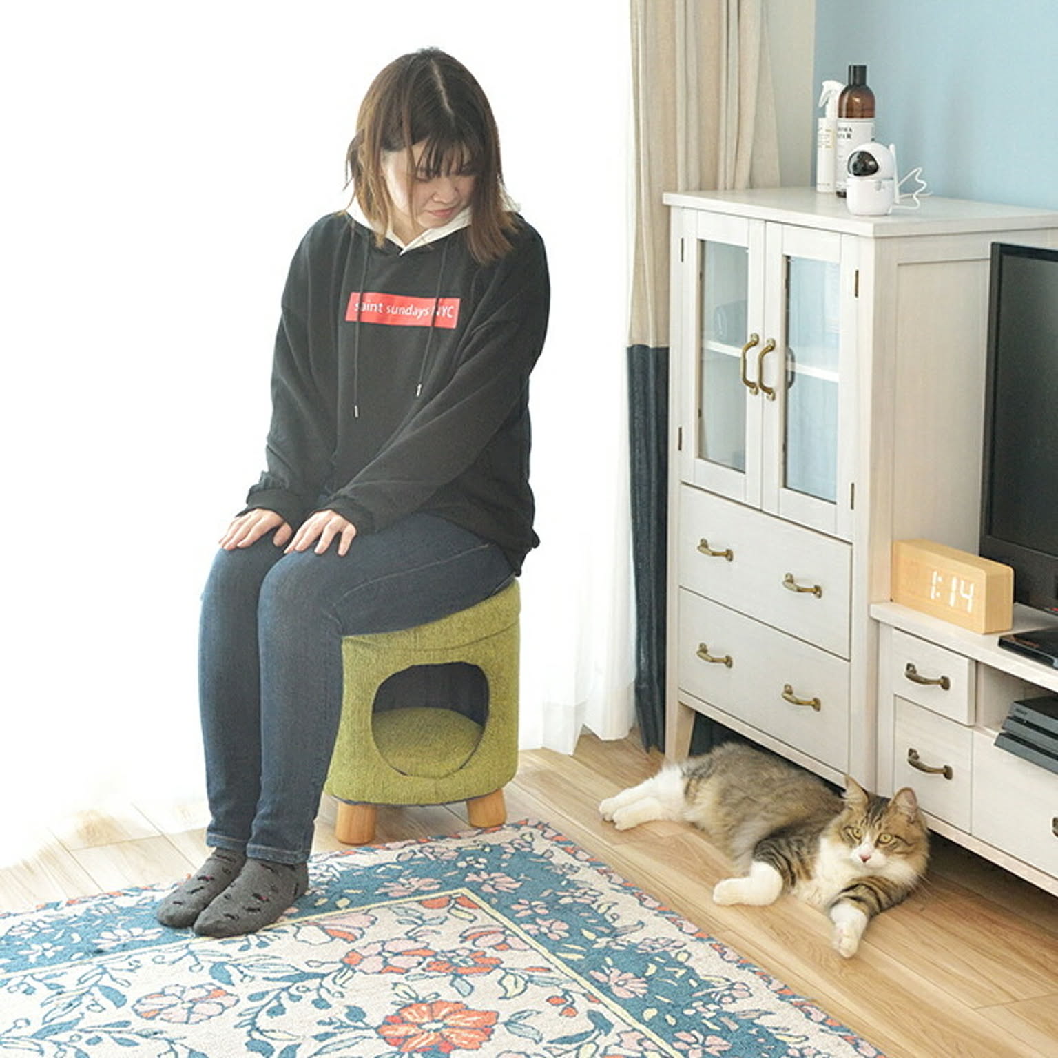 犬用インテリア・犬用家具