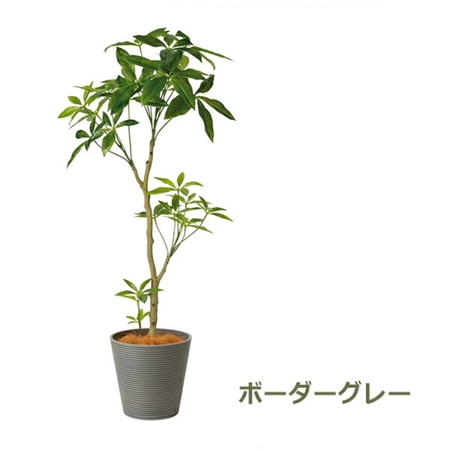 フェイクグリーン