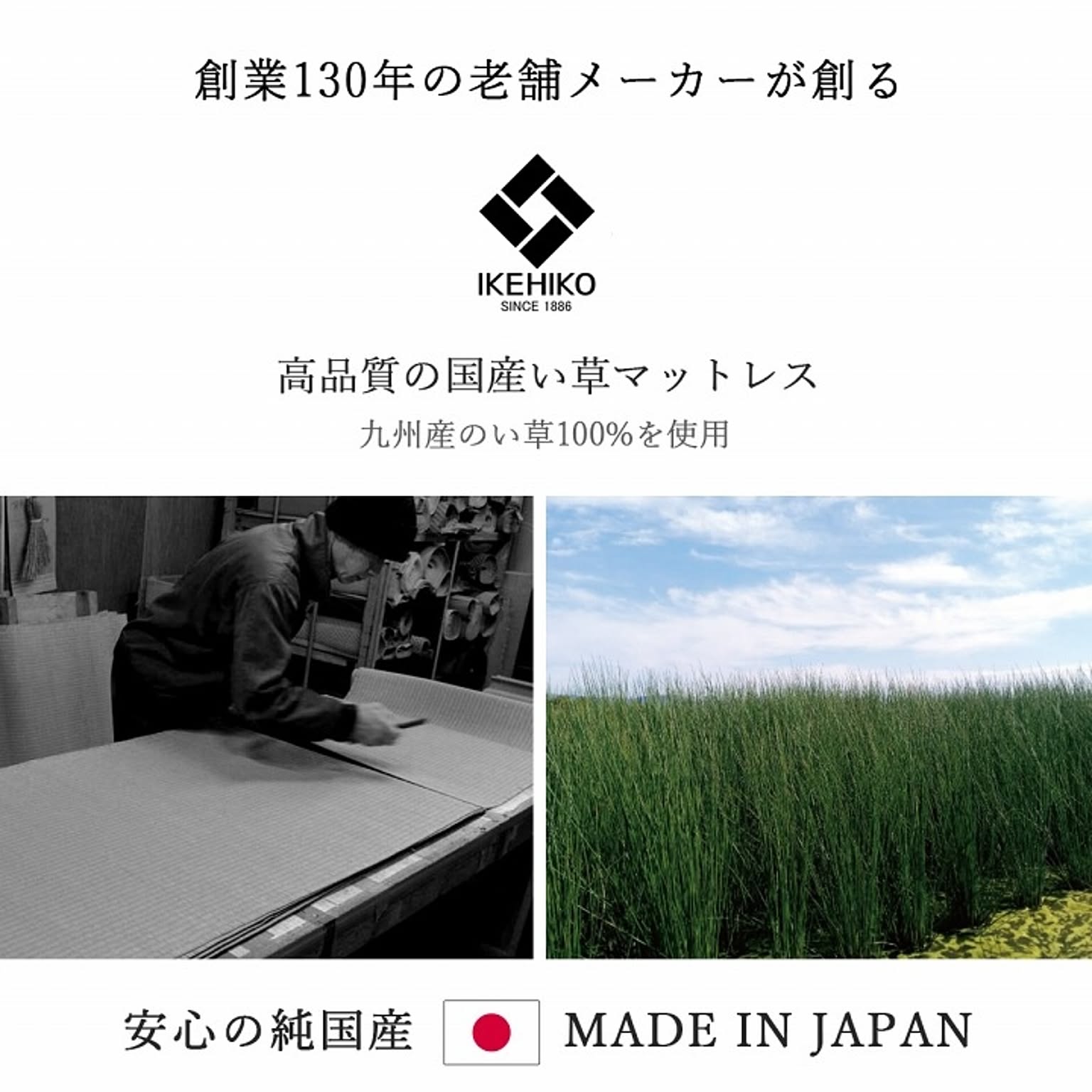 ござ・い草ラグ