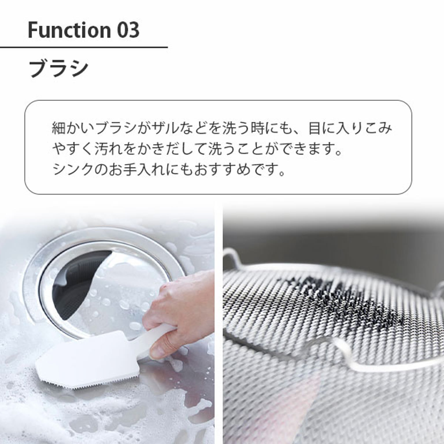 スポンジ