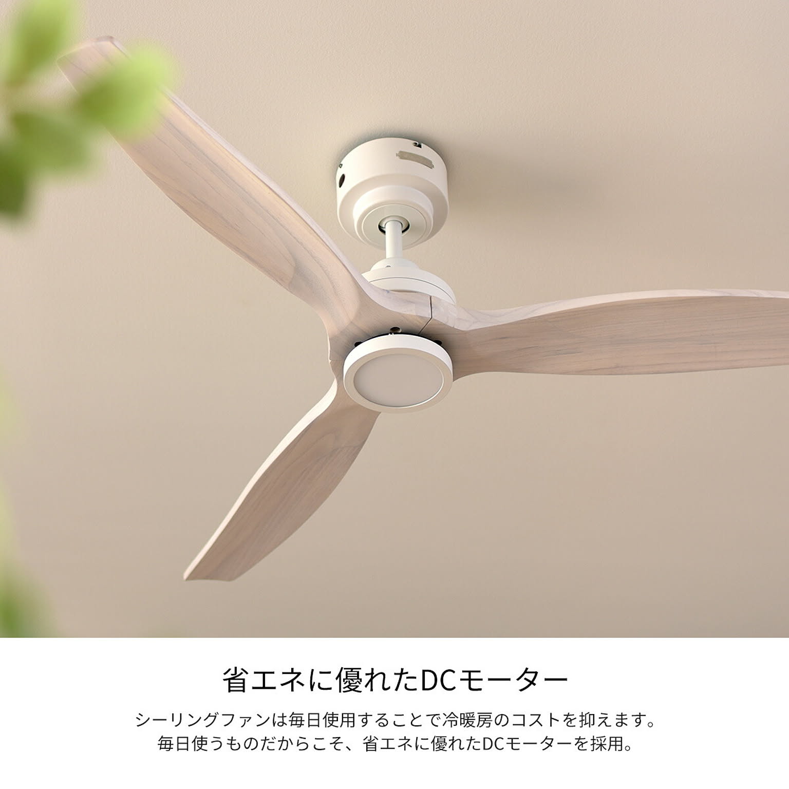 シーリングファンライト