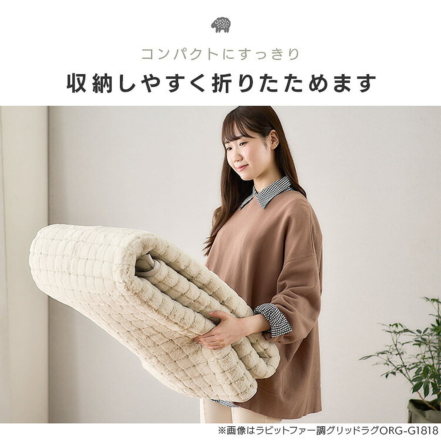 ラグ