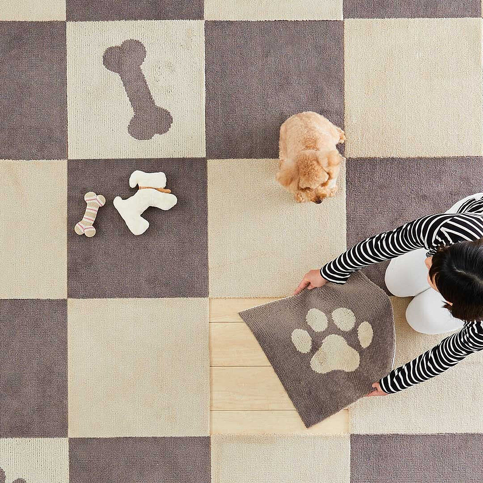 犬用インテリア・犬用家具