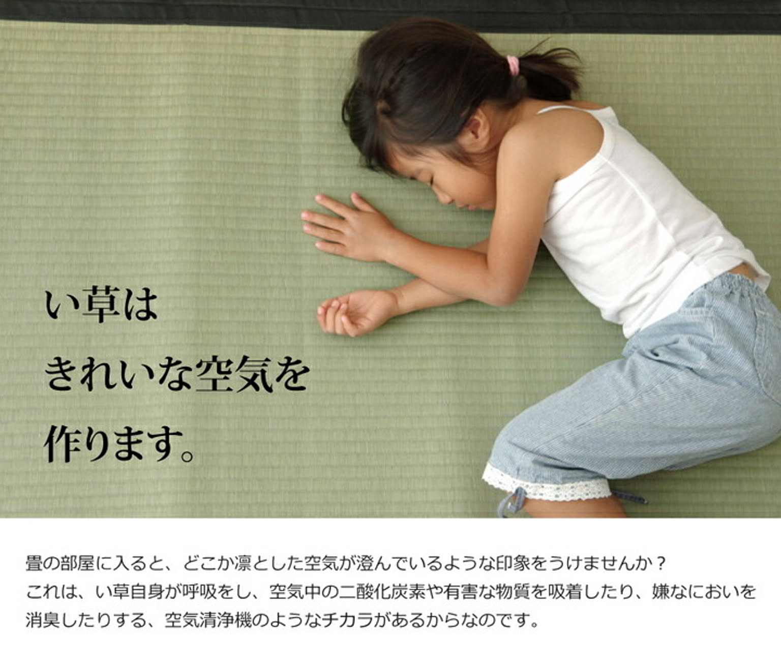 ござ・い草ラグ