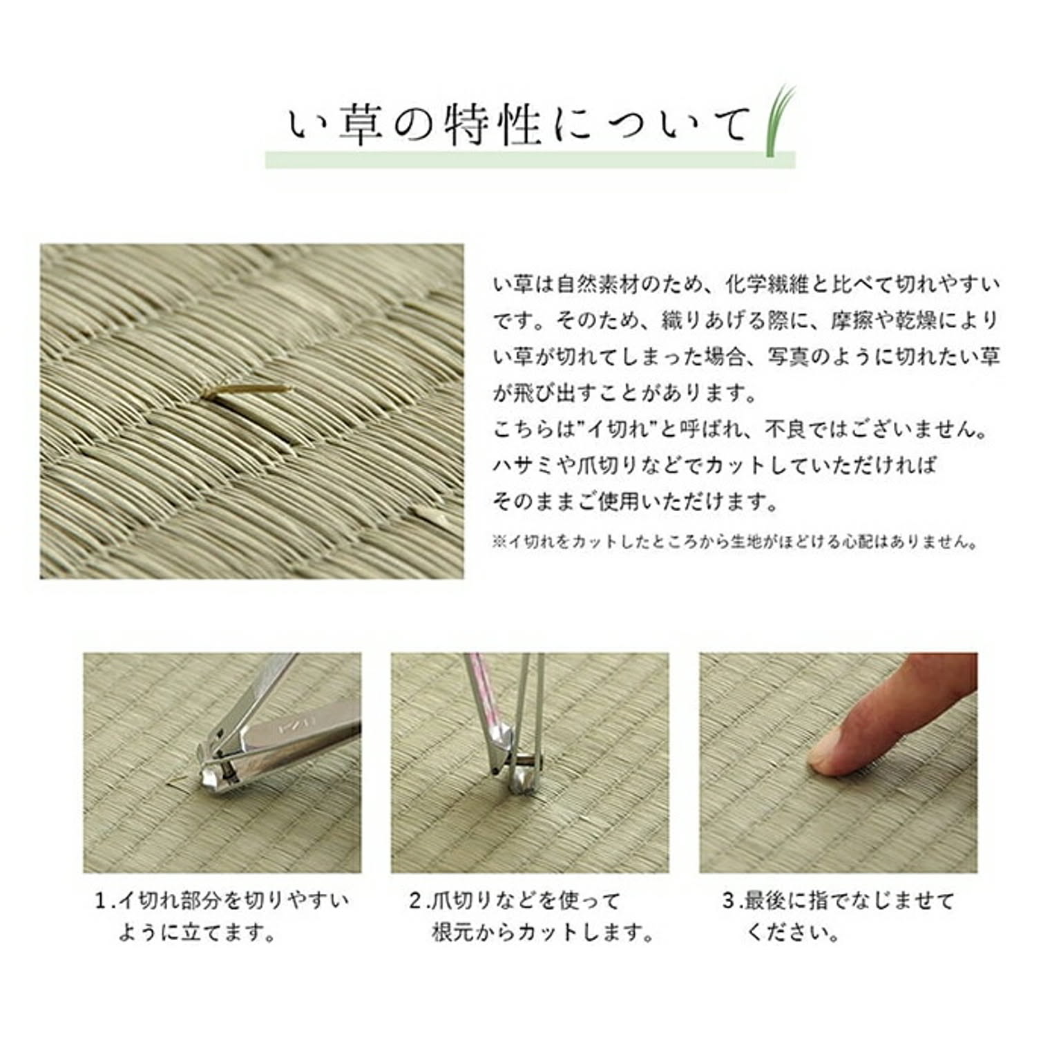 ござ・い草ラグ