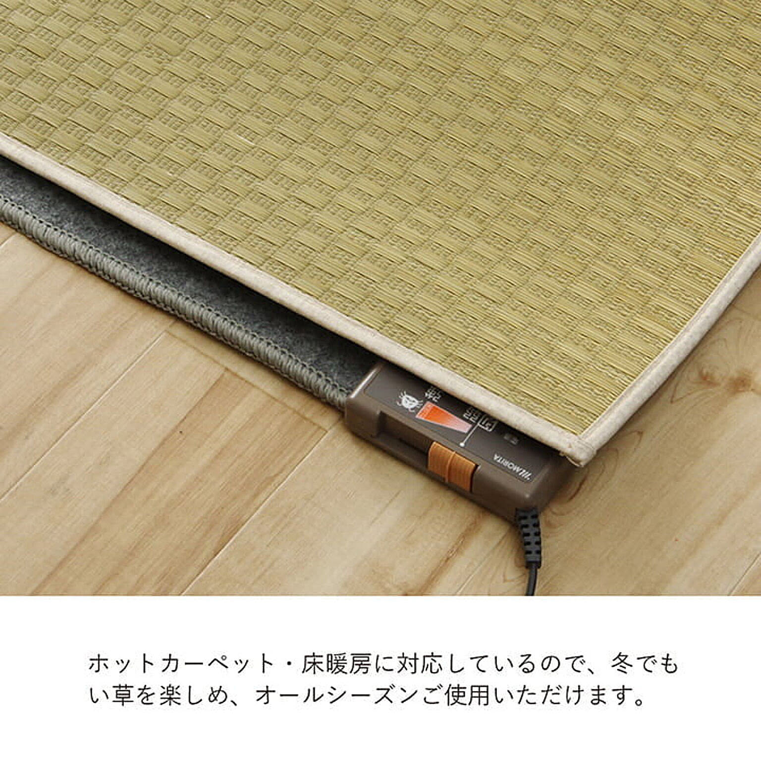 ござ・い草ラグ