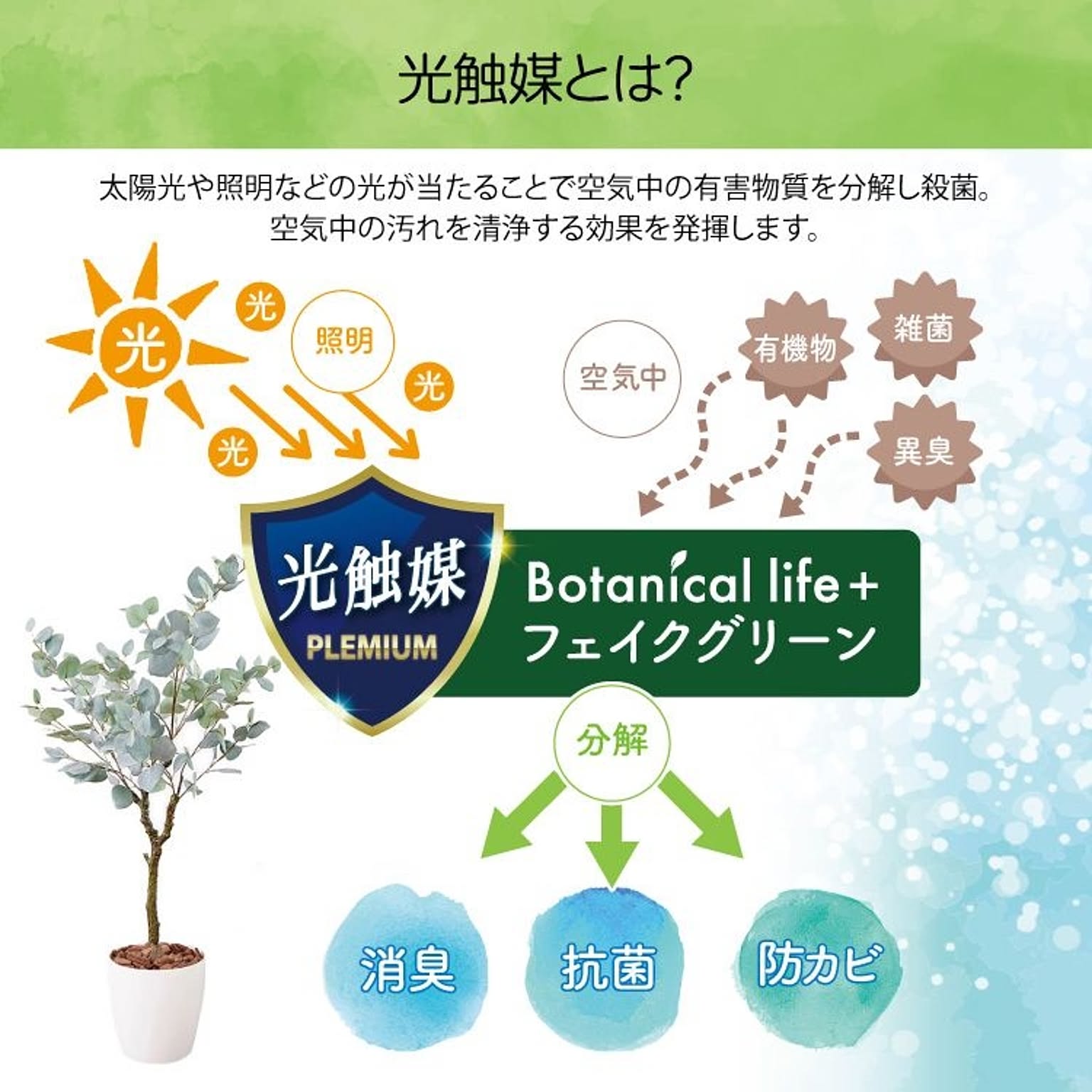 フェイクグリーン