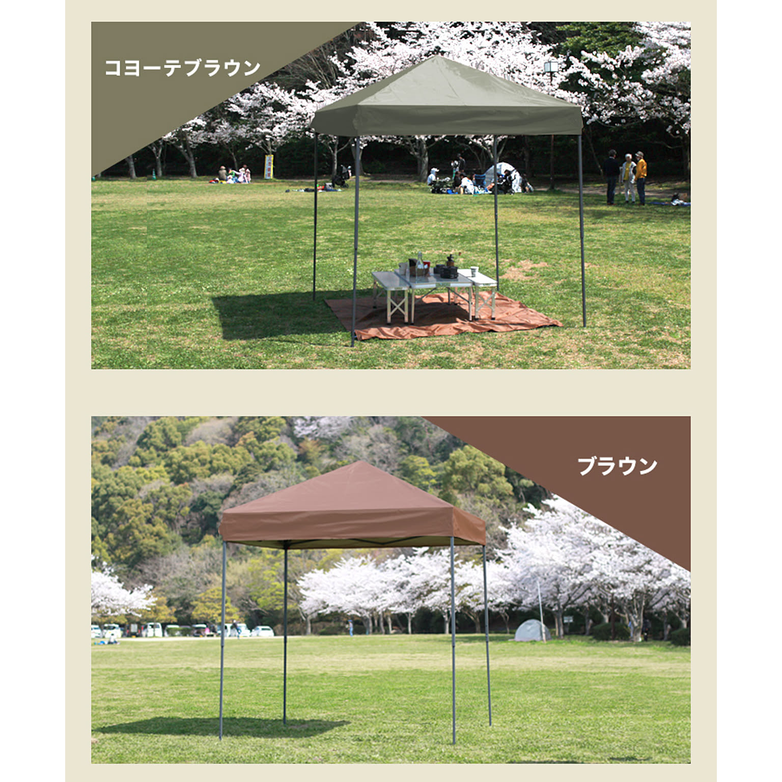テント