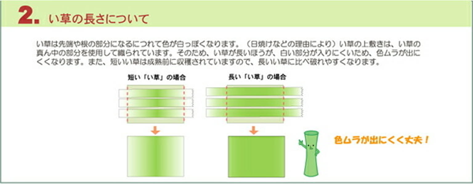 ござ・い草ラグ