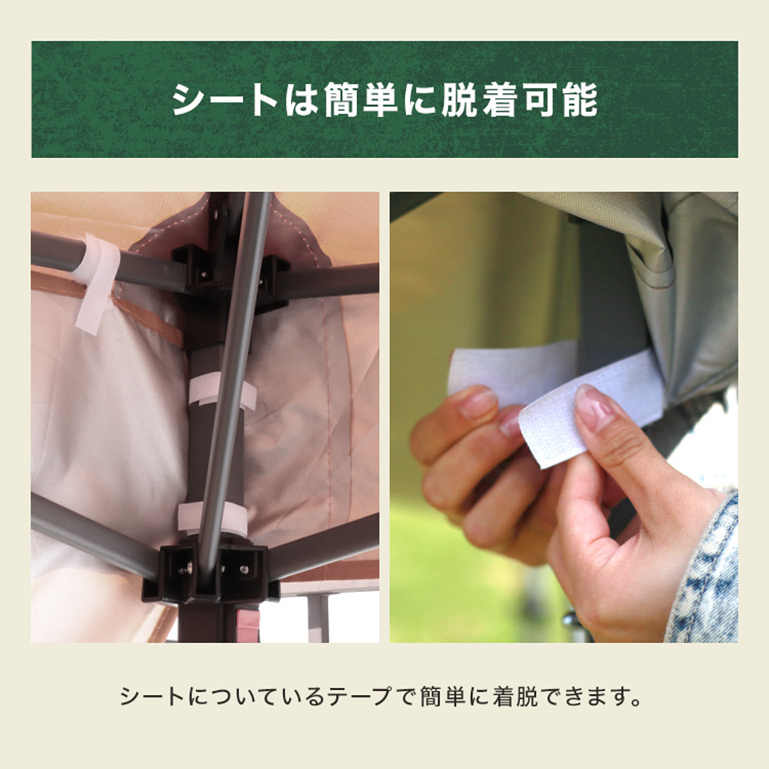 テント