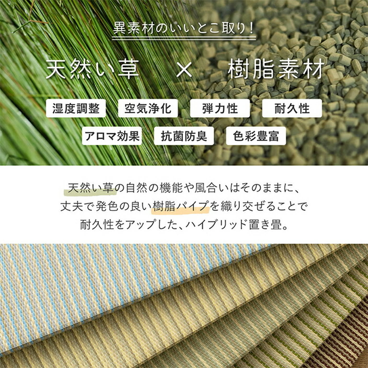 ござ・い草ラグ