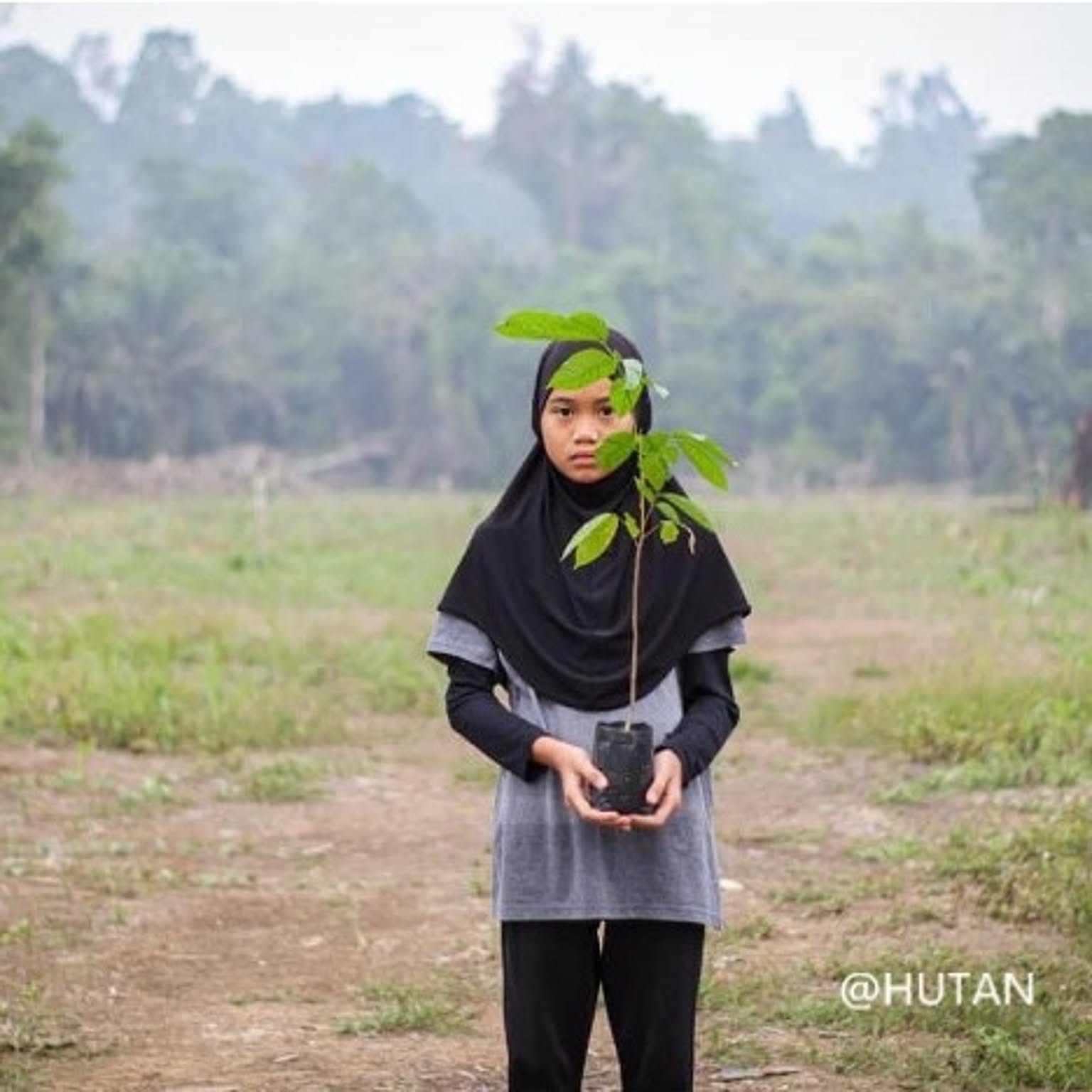 ふきん・ダスター