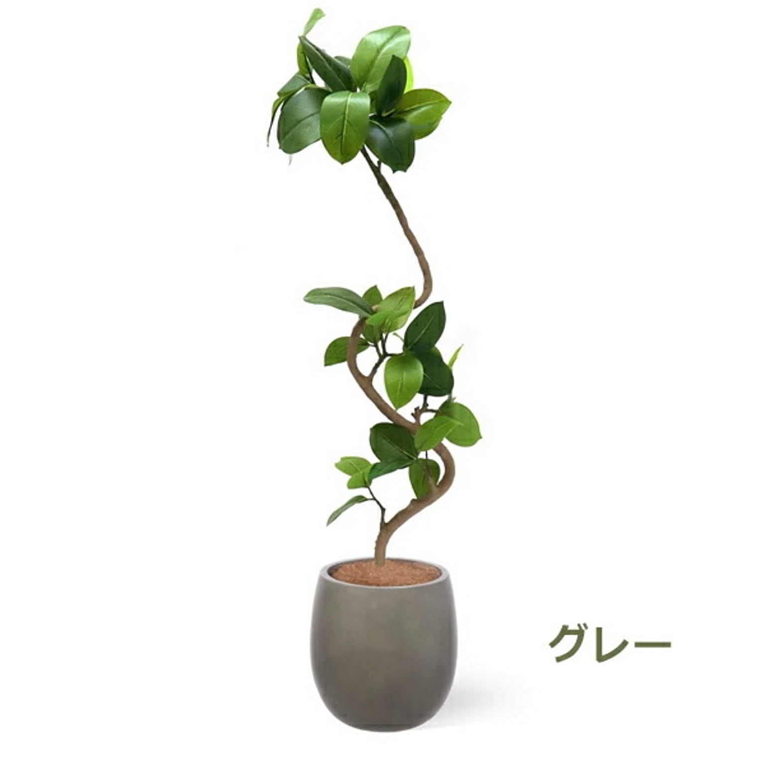 フェイクグリーン