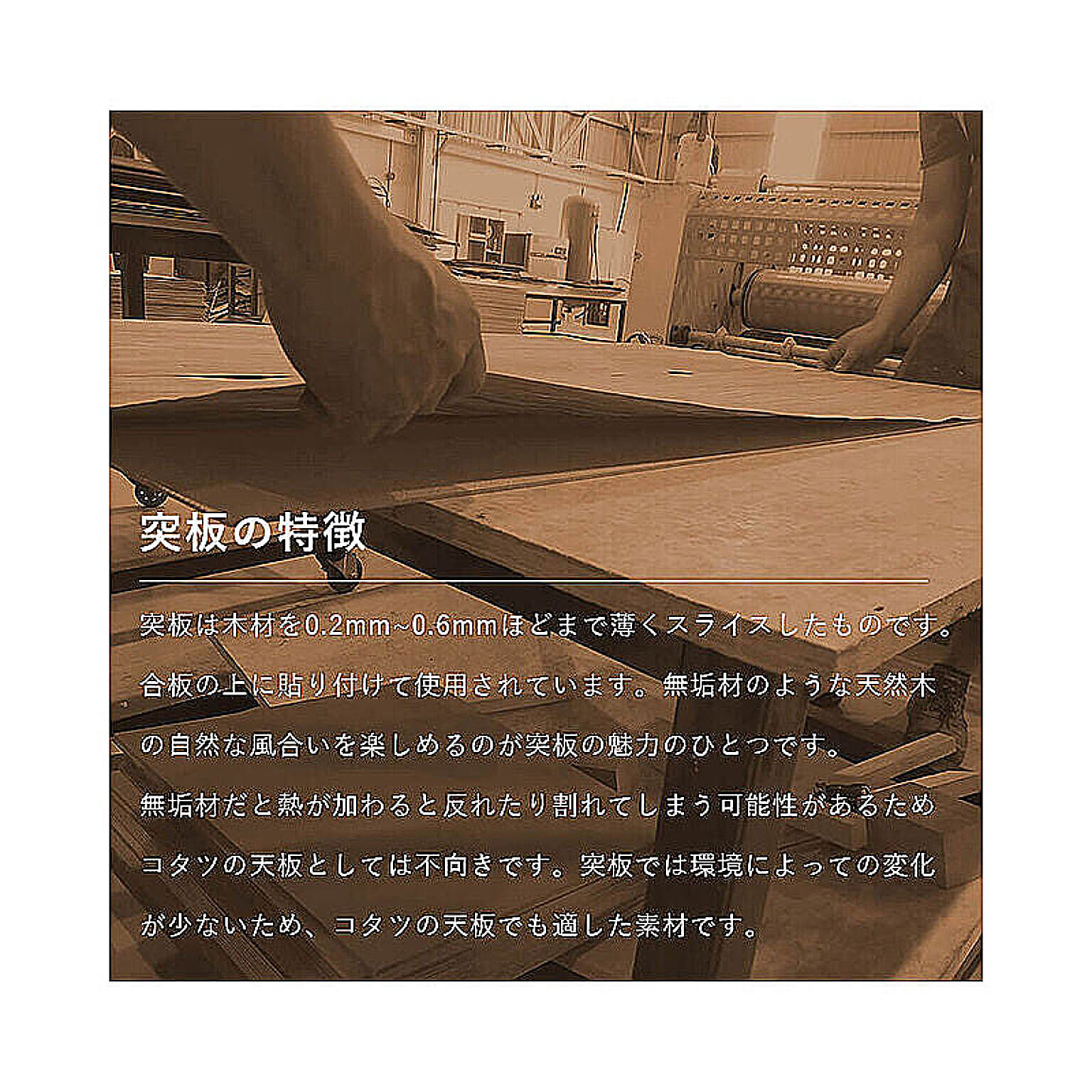こたつ