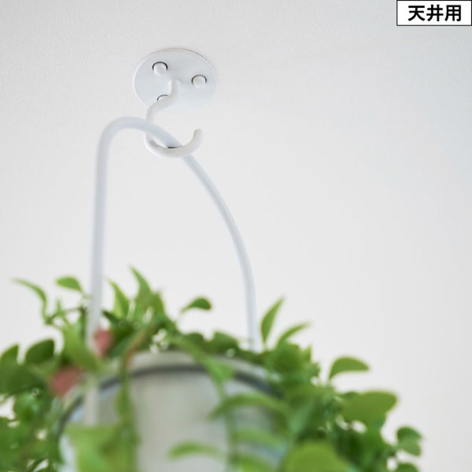 壁掛けフック・壁掛け金具