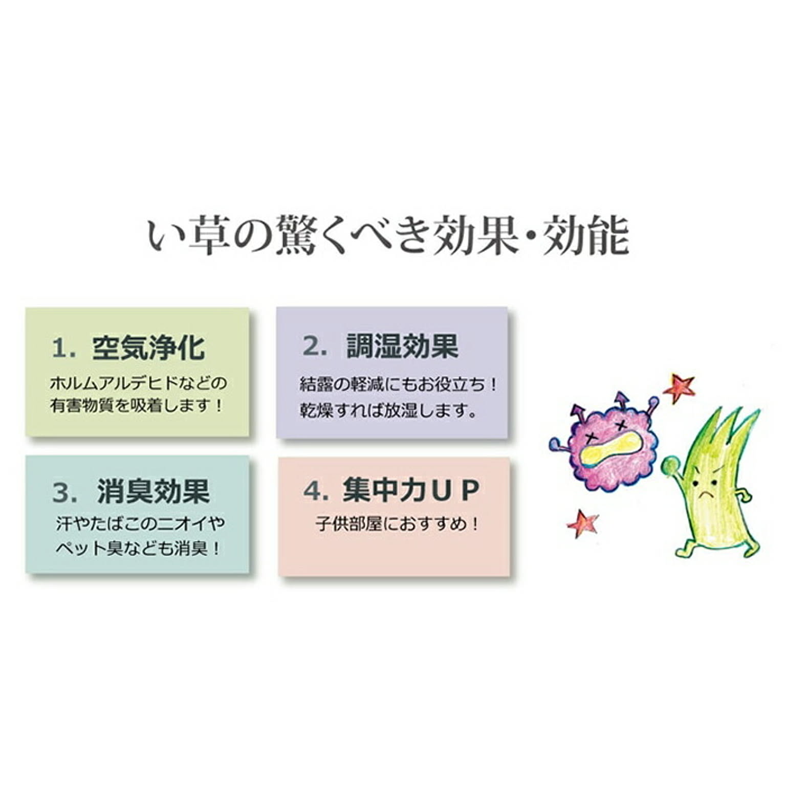 ござ・い草ラグ