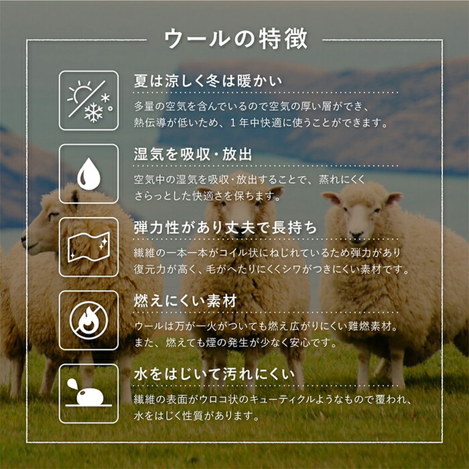 ラグ