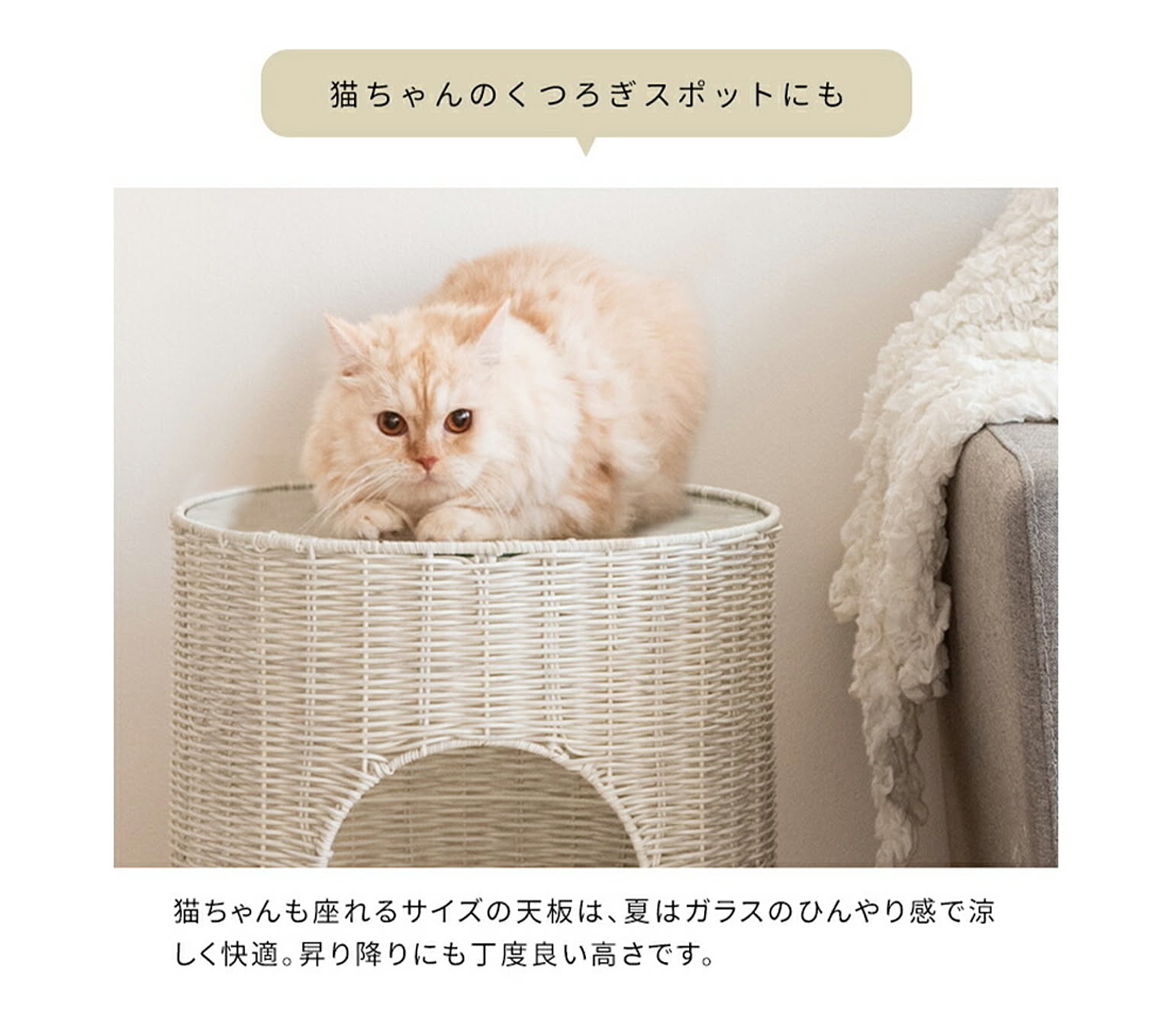 猫用インテリア・猫用家具