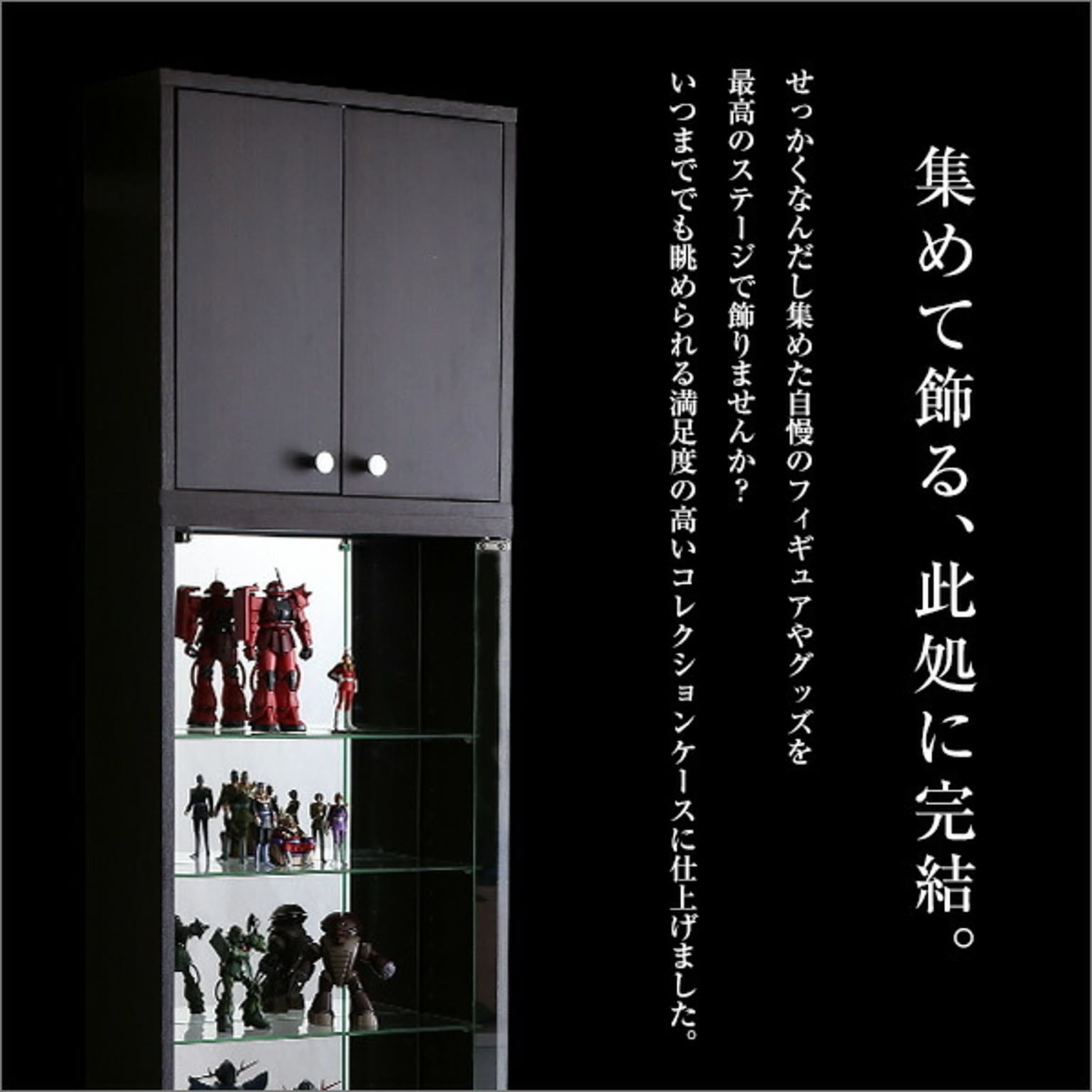 コレクションケース