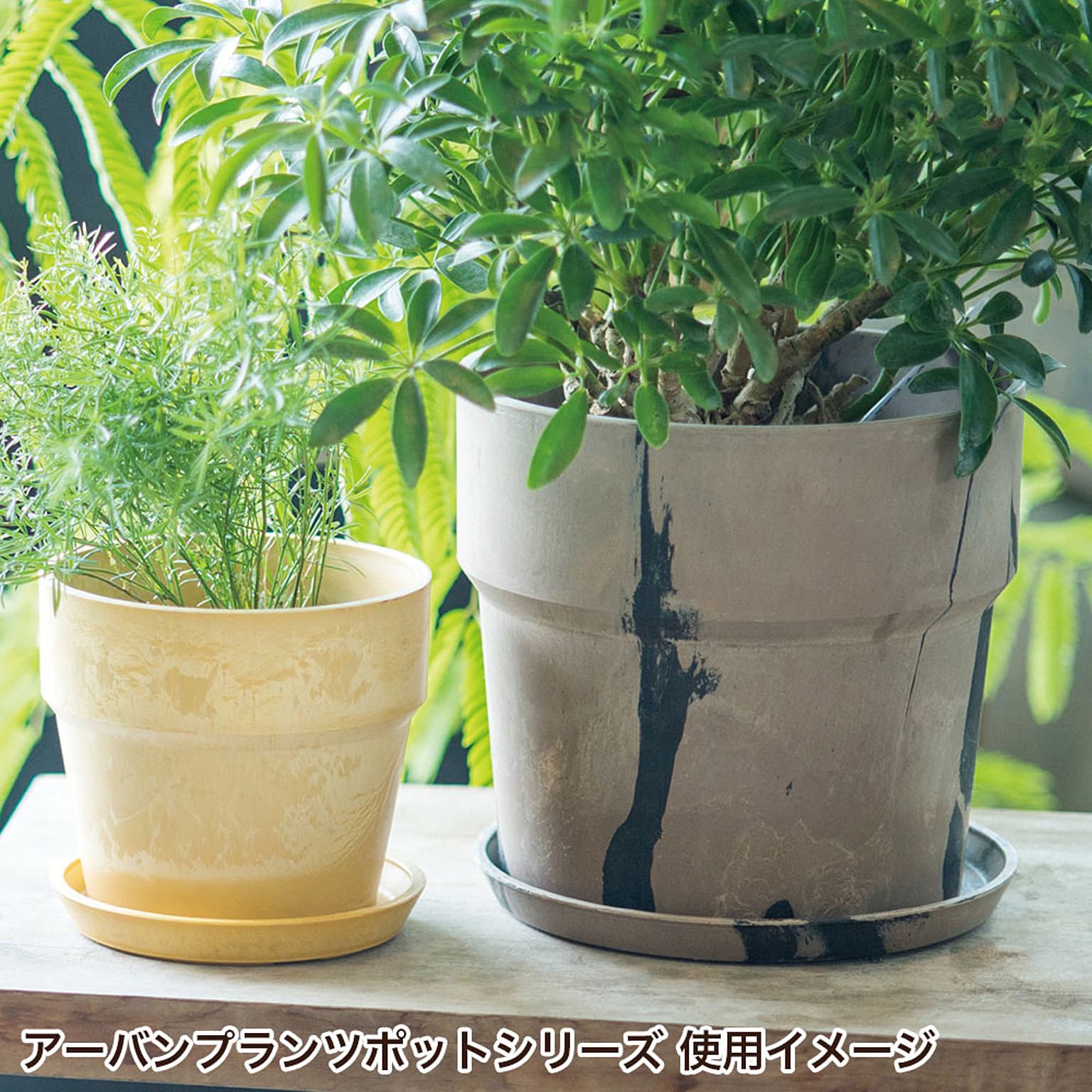 プランター・植木鉢